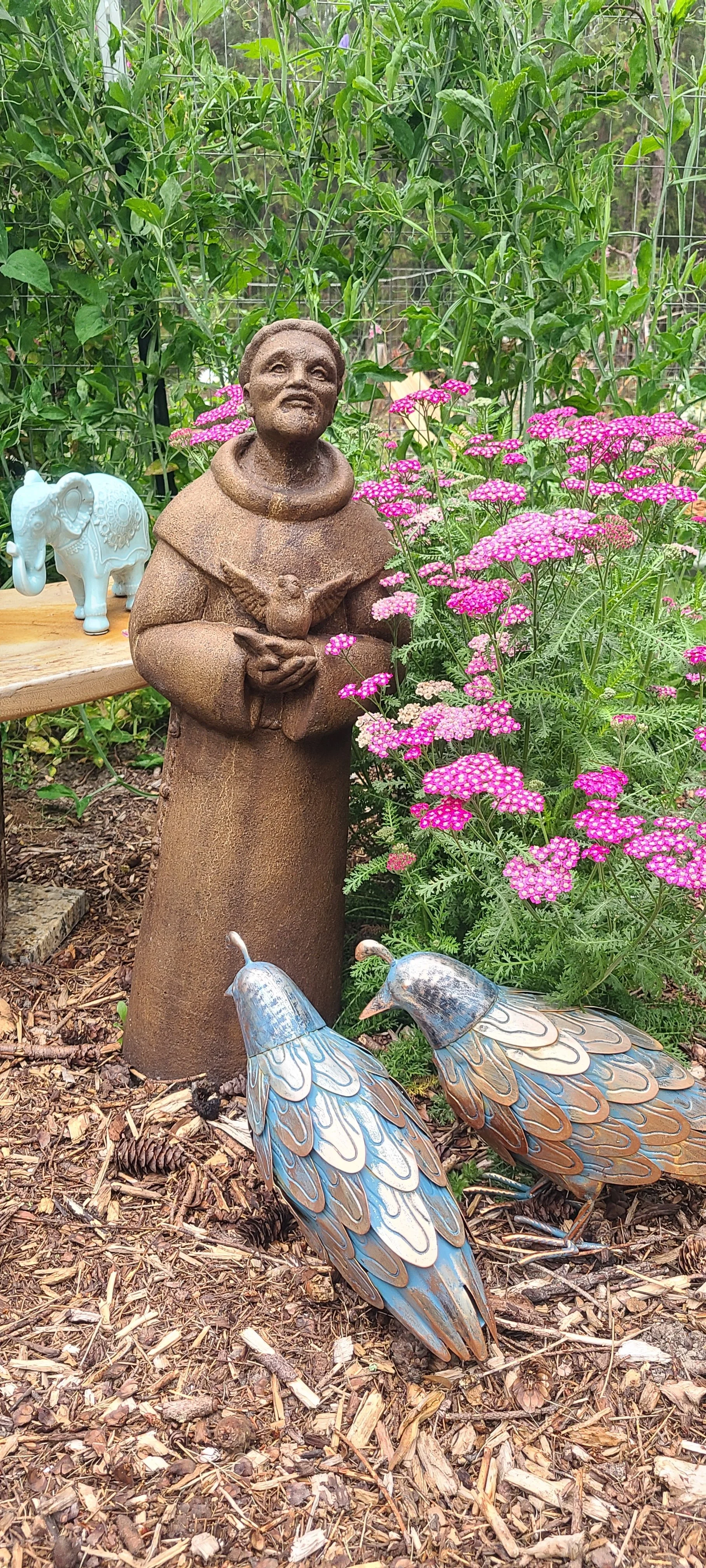 Saint Francis Pink Yarrow.jpg