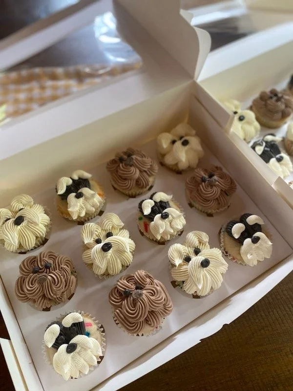 Dog Cupcakes.jpg
