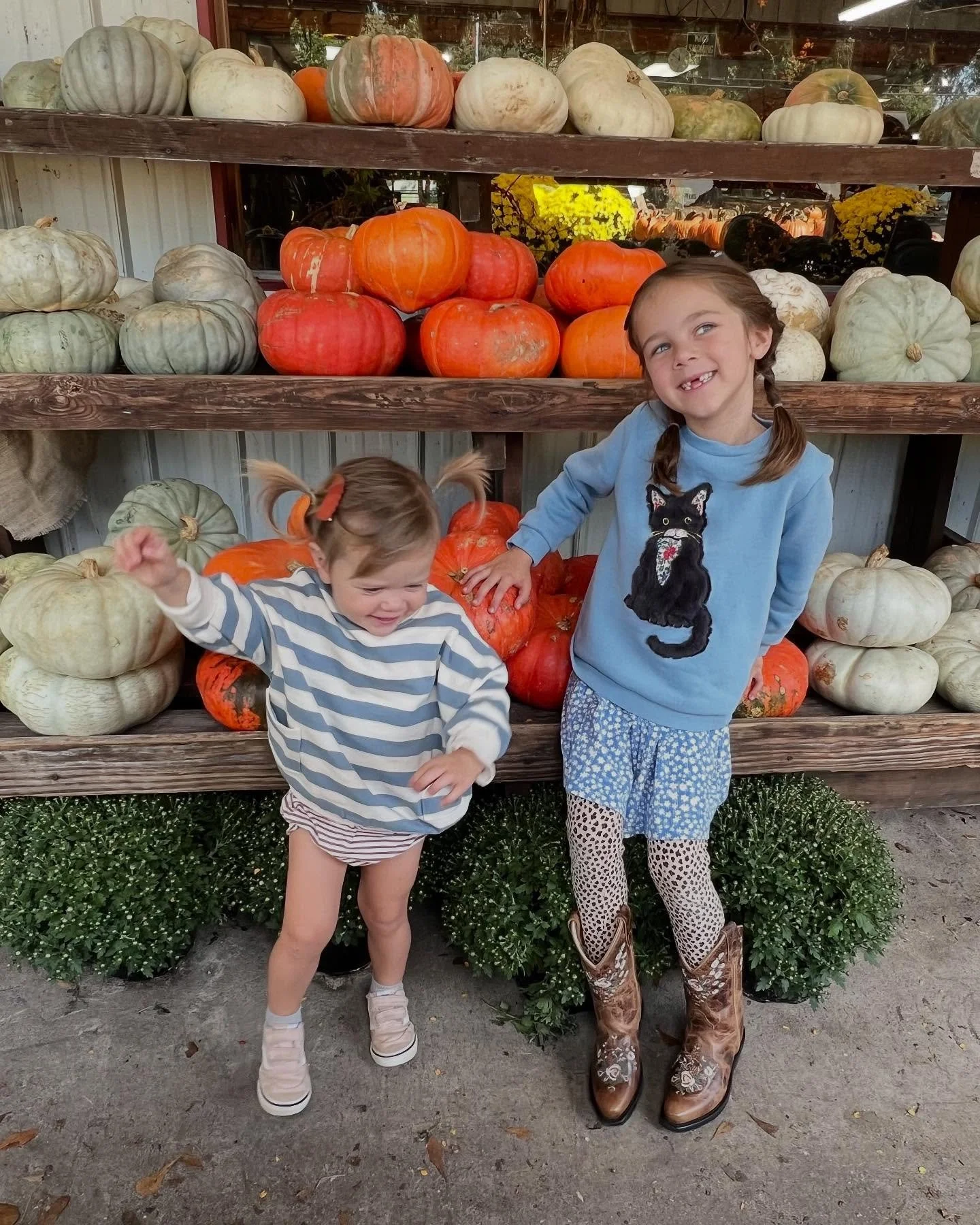 Pumpkins!