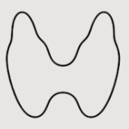 Geometric drawing of an outline square with sections divided by vertical, horizontal, and half circle lines.
