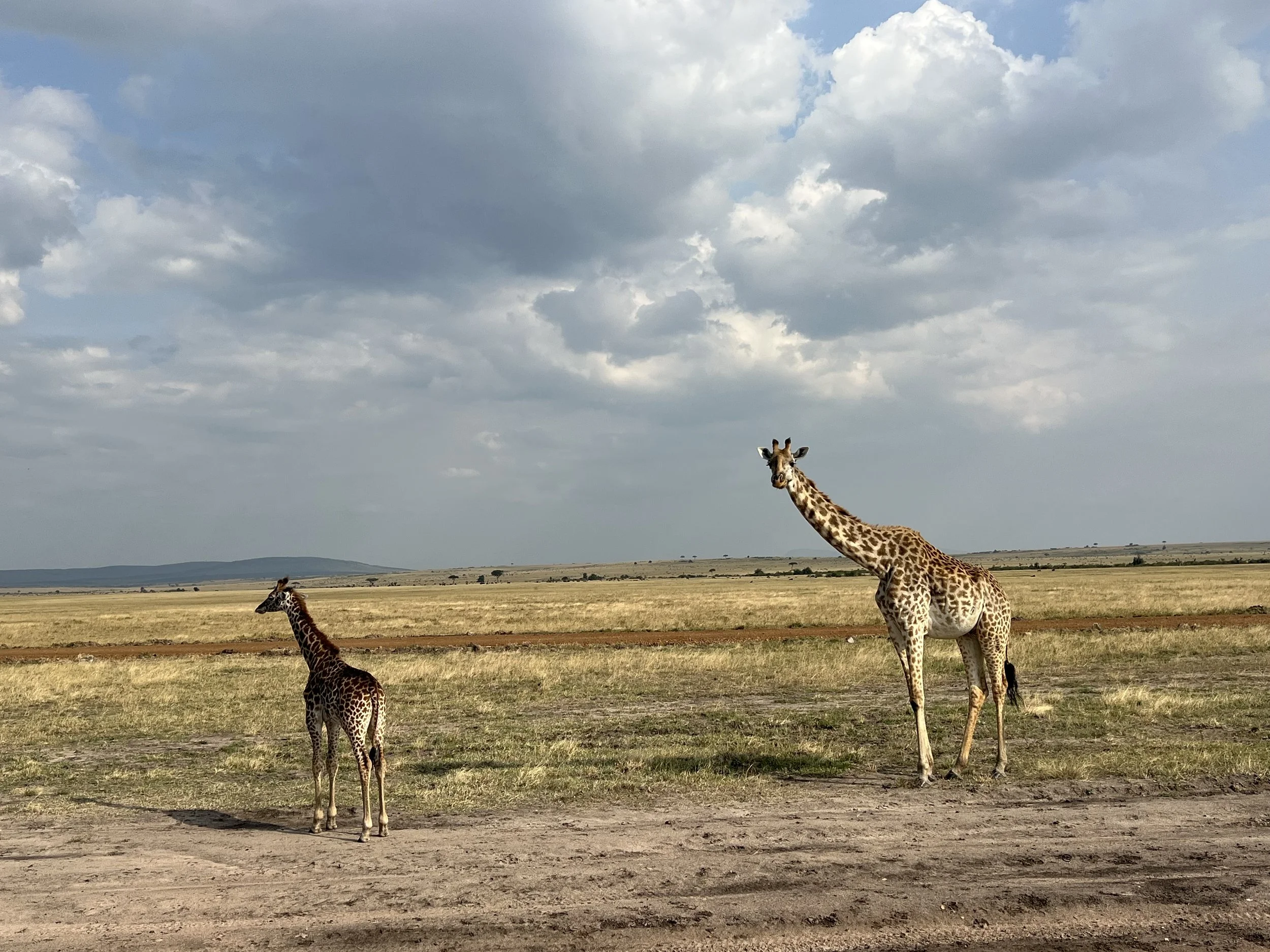 Kenya 2027