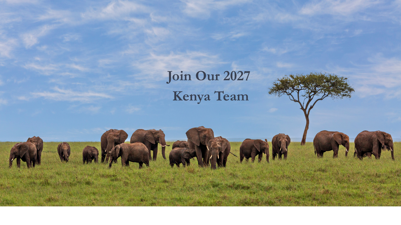 Kenya Short Term Project Team