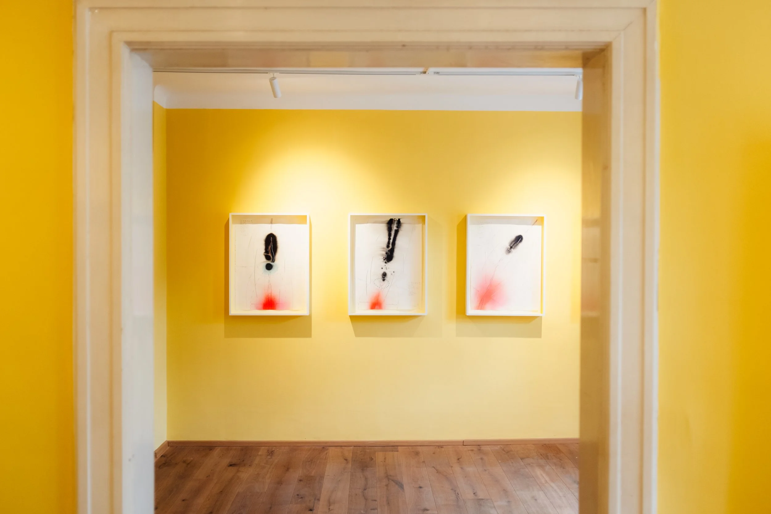 1_Ausstellungsansicht_Jubiläumsausstellung Welcome back!_sommer.frische.kunst 2025_©Hannes Wichmann..jpg