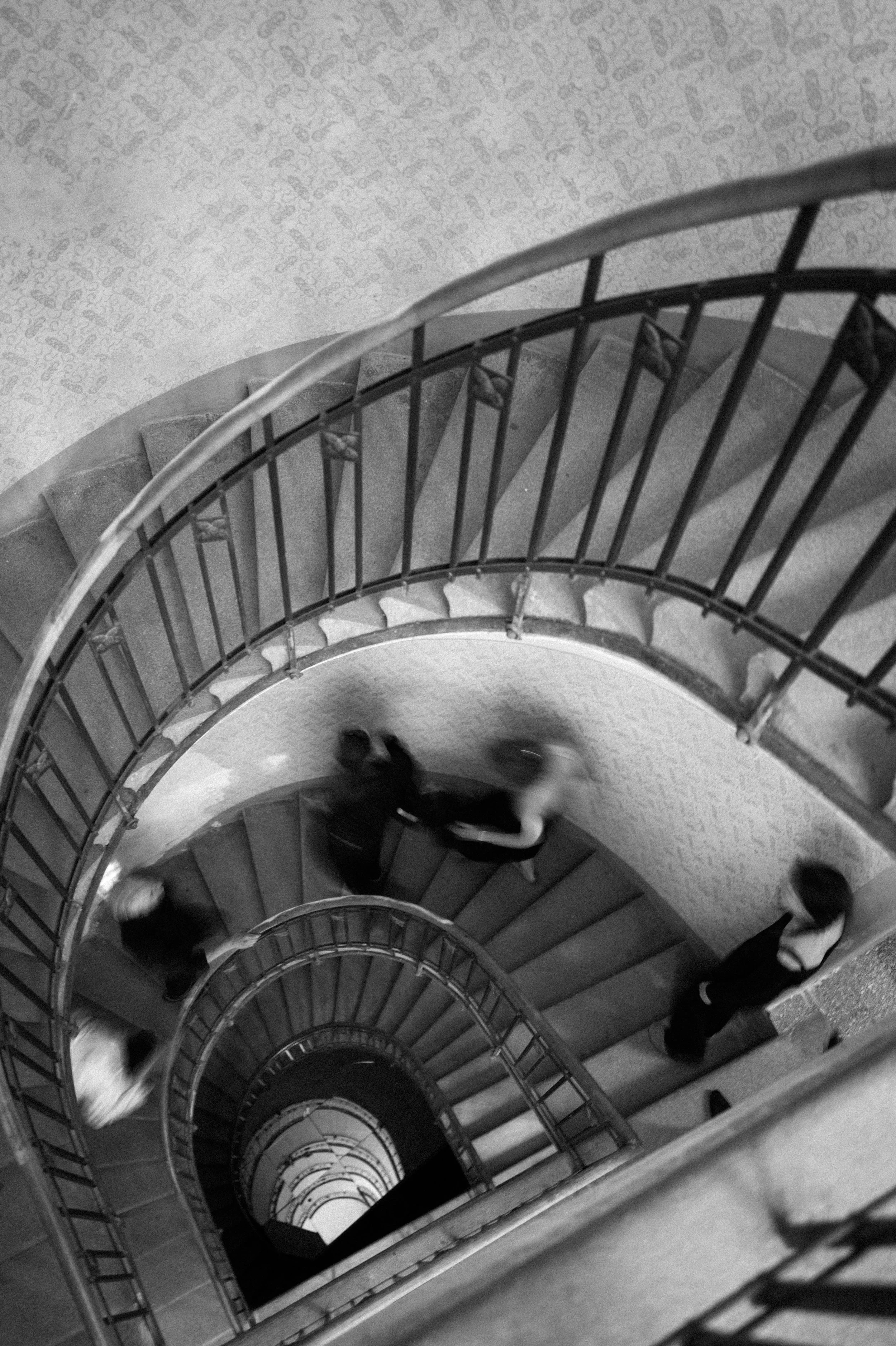L1005419.jpg
