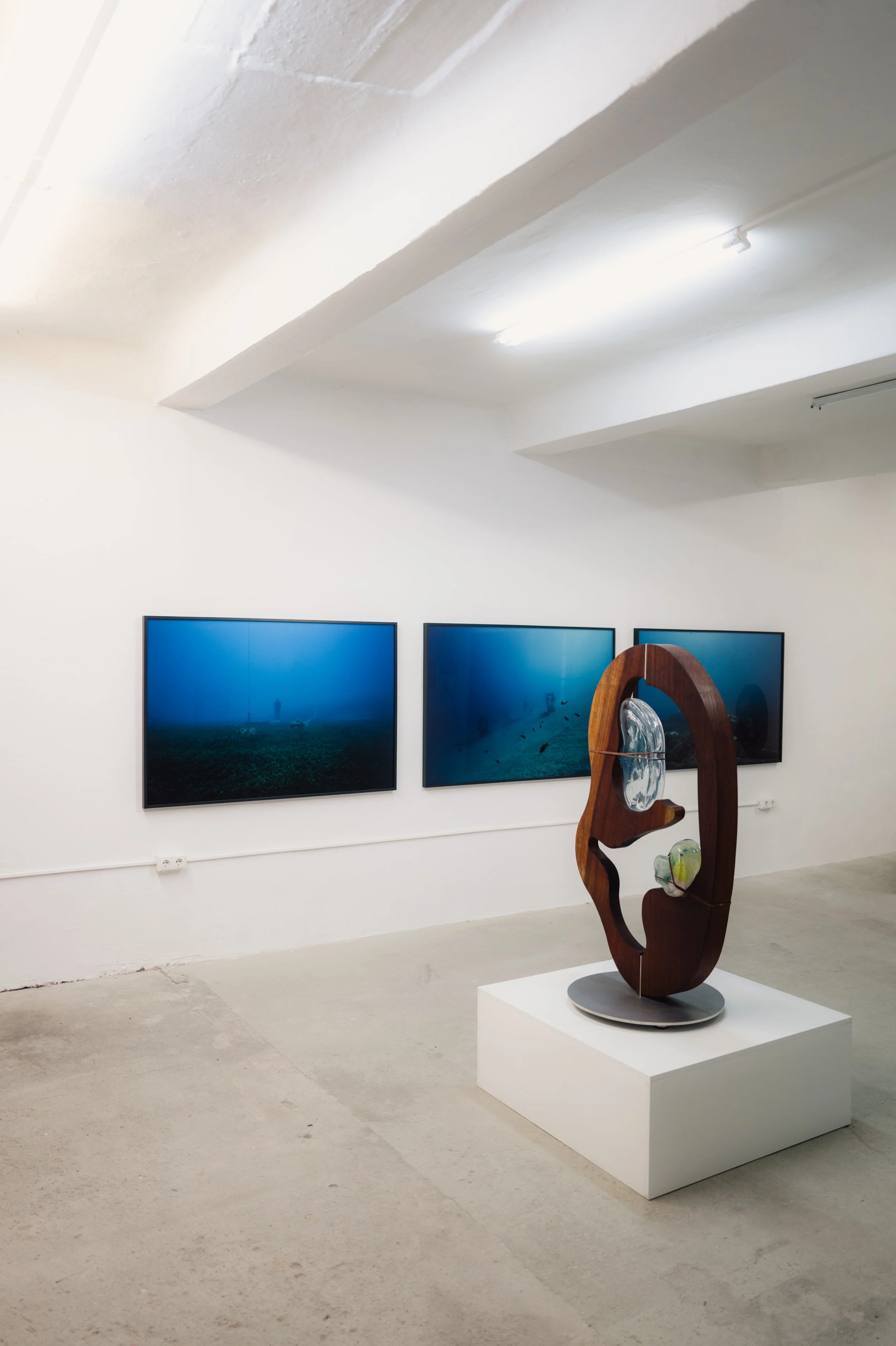 L1005164.jpg