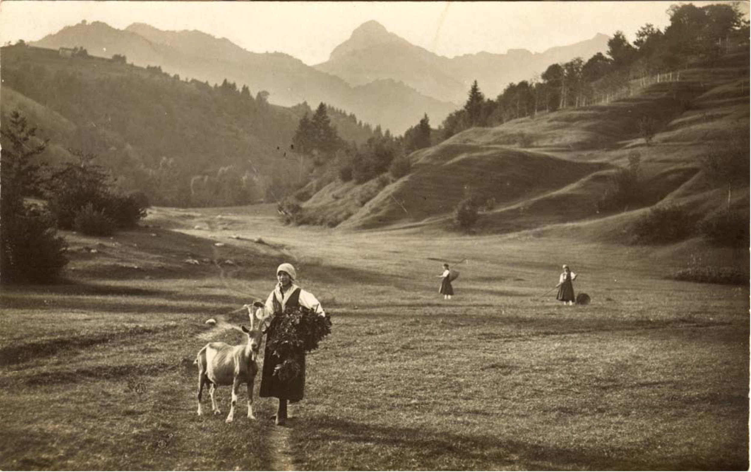 _Friuliane_about_02.jpg