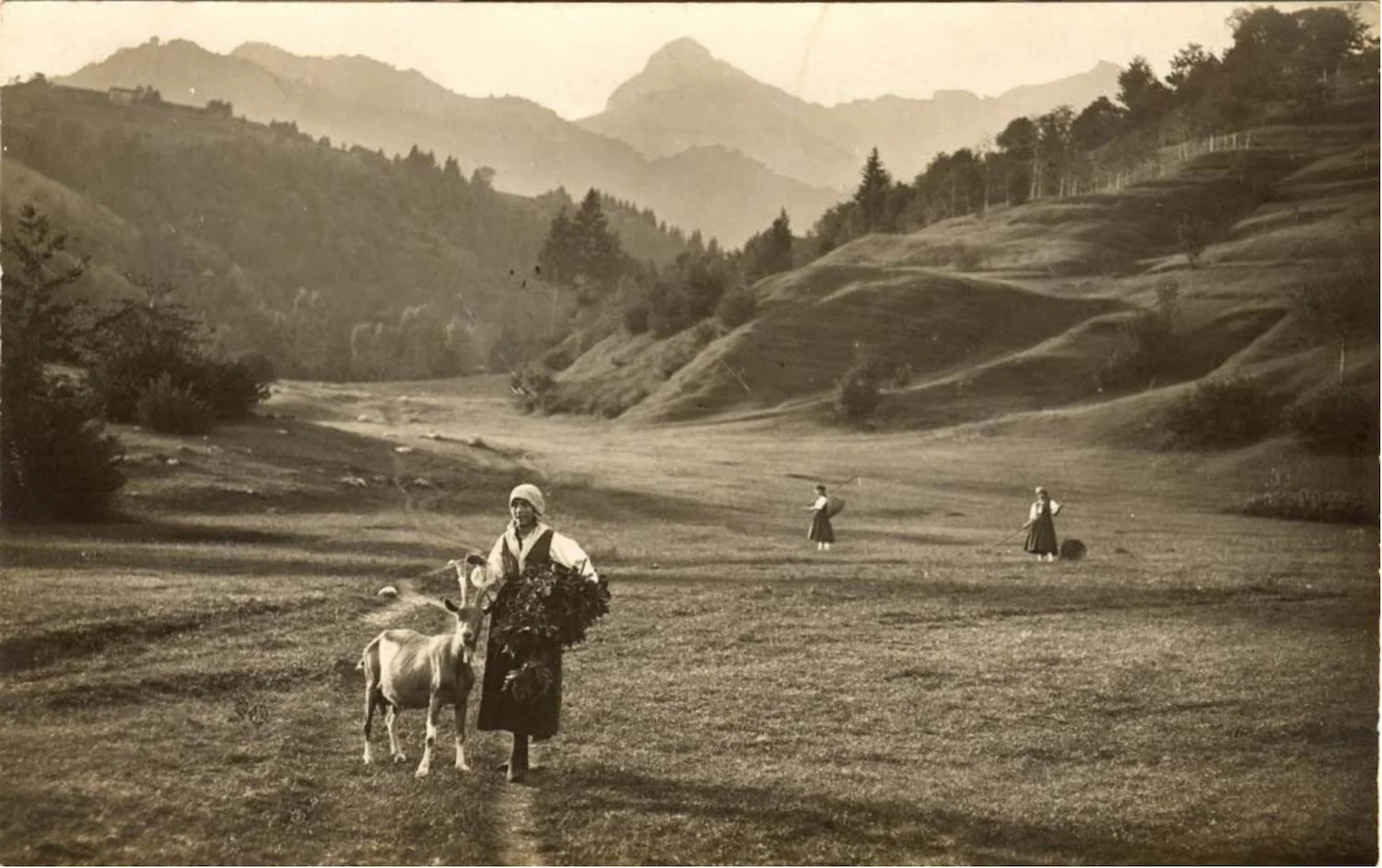 Vintage photo of a Friulian woman walking a goat in the Italian Alps, symbolizing rural heritage and traditional craftsmanship.