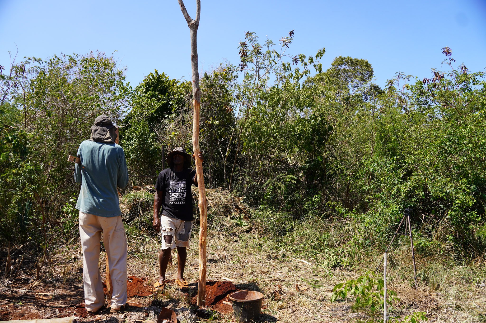 Jamaica WARE-031.jpg