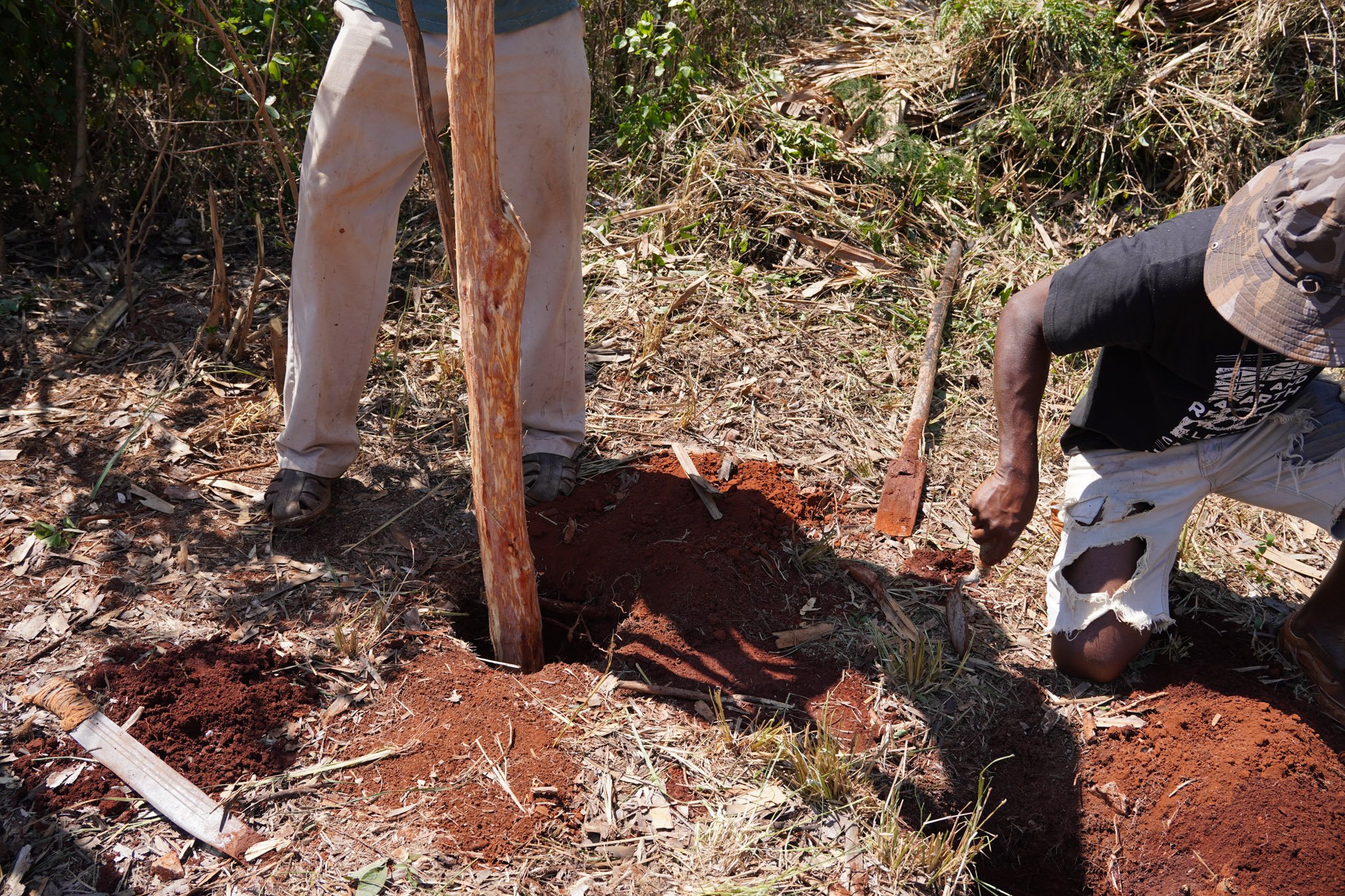 Mass Guy securing the structural wood post to the ground. Bawly observing

St. Elizabeth, Jamaica
WARE Collective
spanishwall-vernacular-construction-red earth-masonry
©Rose Florian 2024