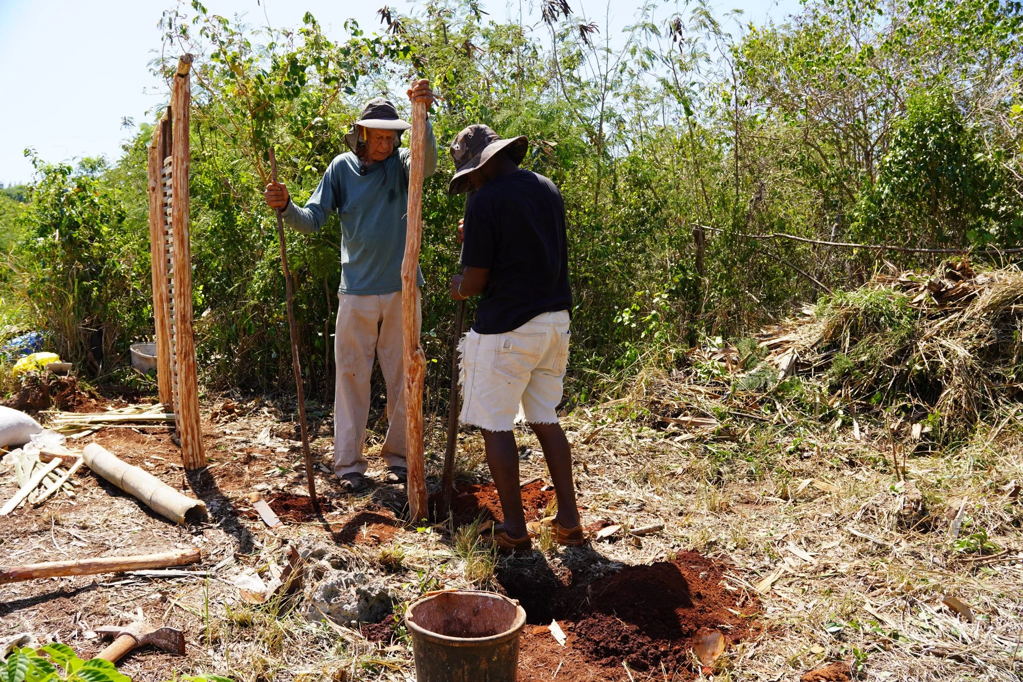 Jamaica WARE-009.jpg