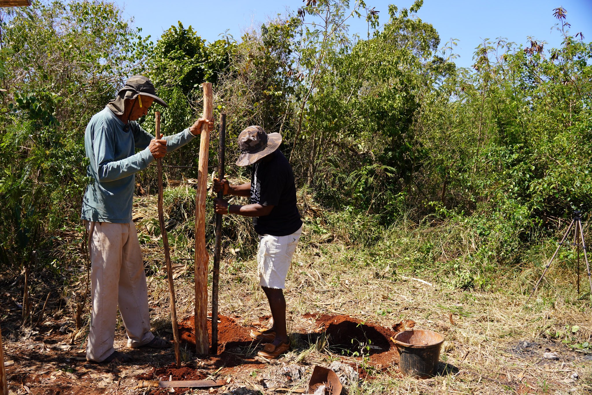 Jamaica WARE-012.jpg