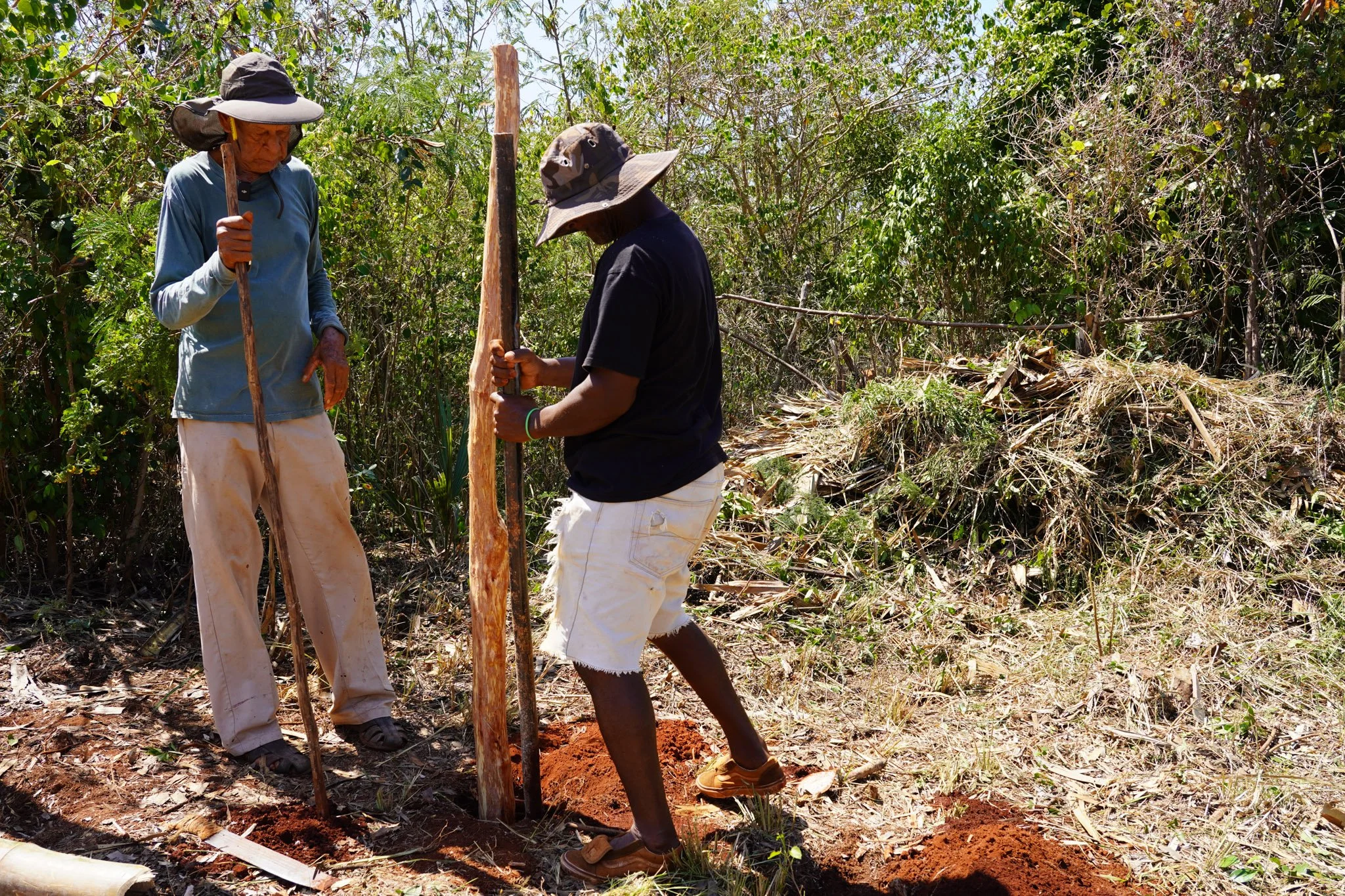 Jamaica WARE-011.jpg