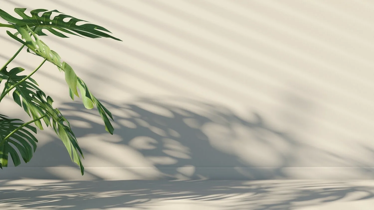 Shadows of green tropical leaves cast on a beige wall.