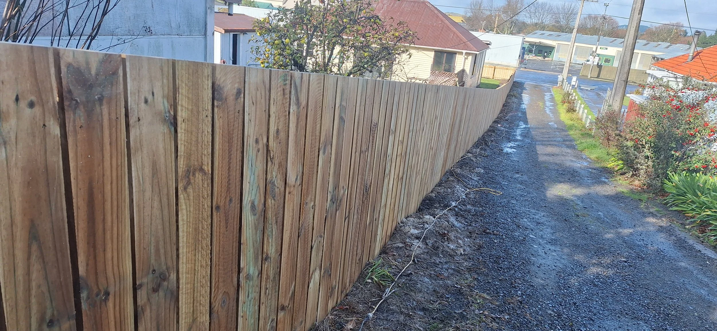 2025-06-07 11.50.10.jpg