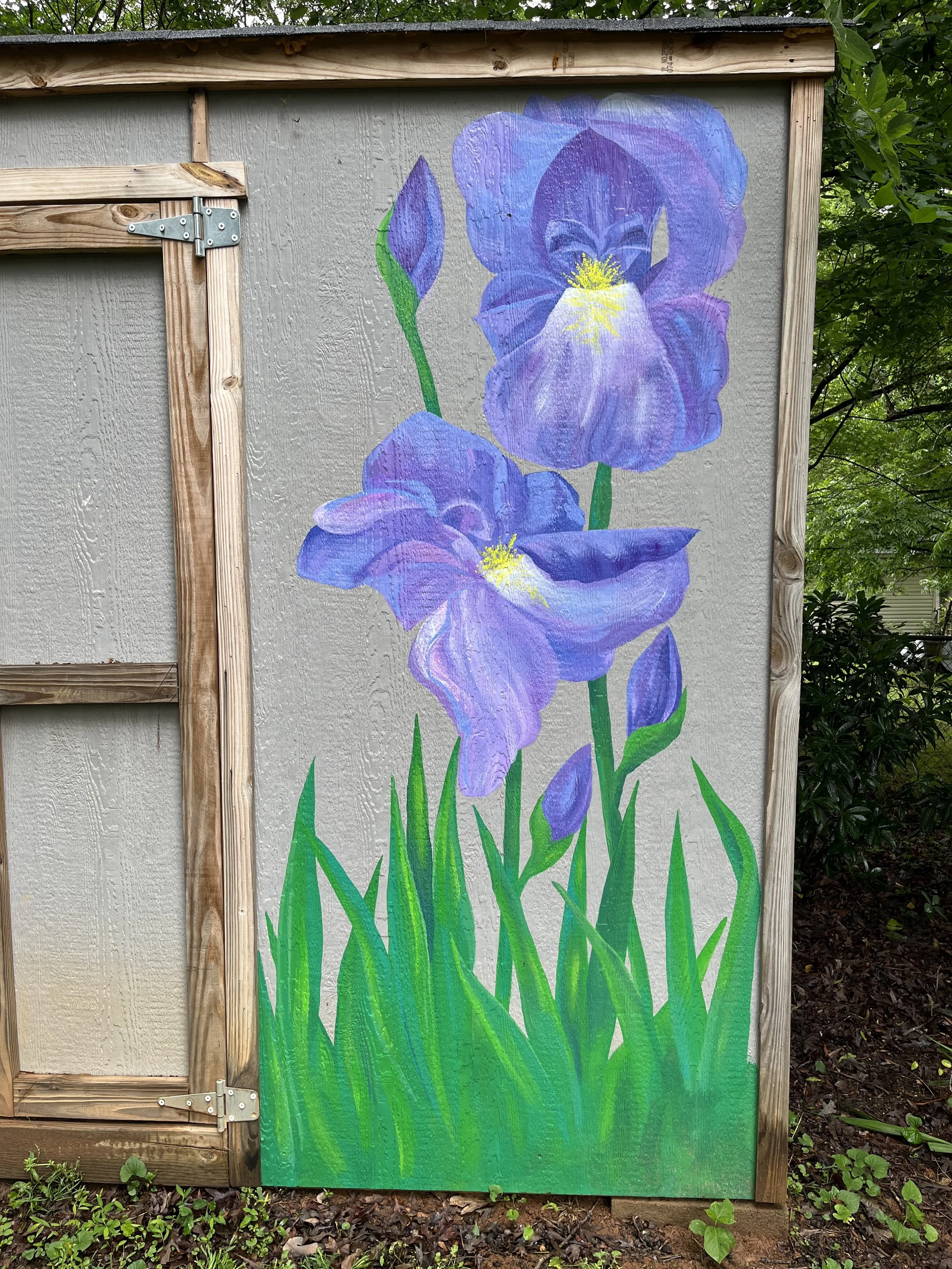 Iris Blooms Forever