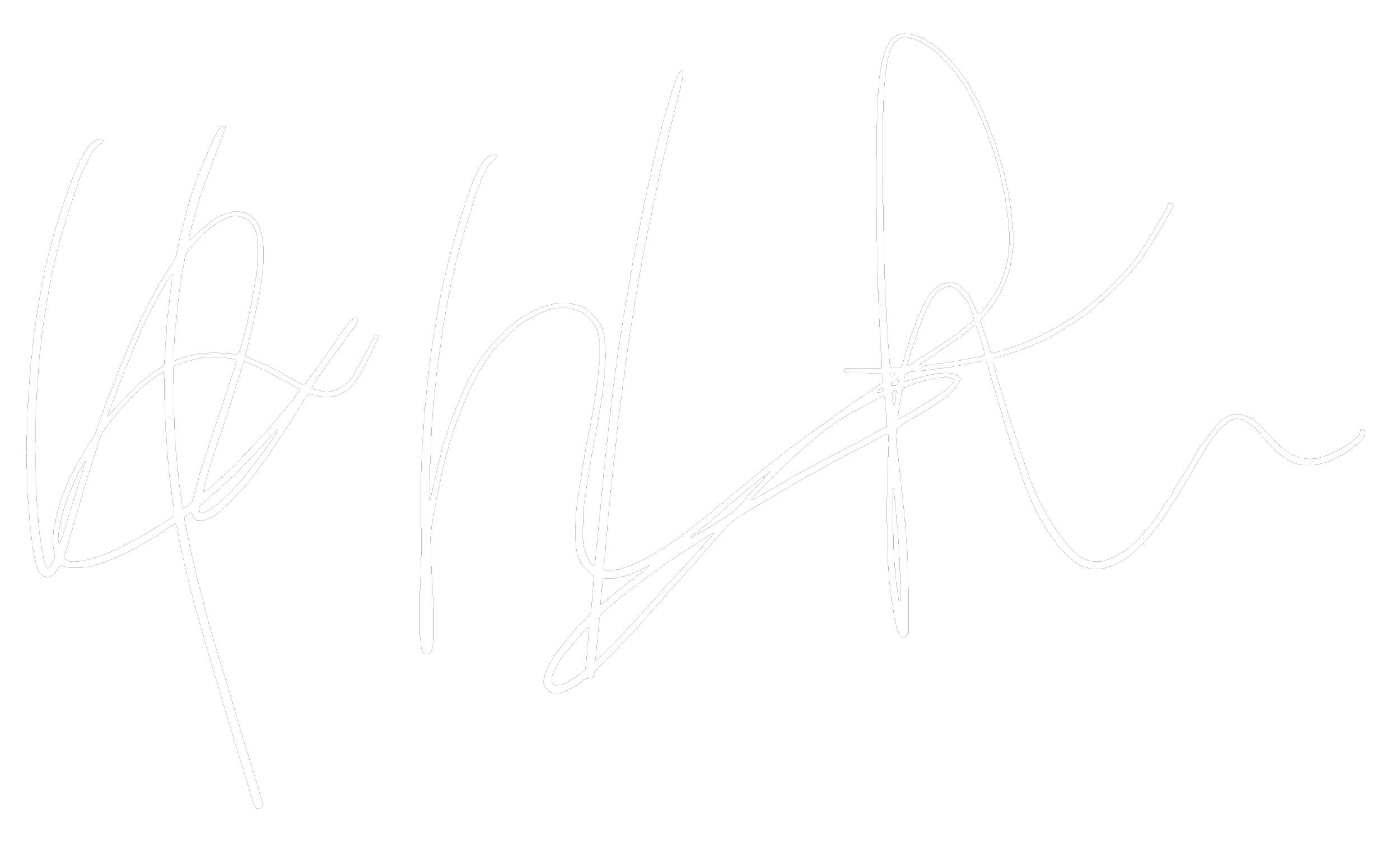 White cursive text reading "the art" on a black background.