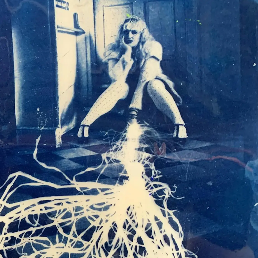 Cyanotype workshop with Janet Appleton, Artist-in-Residence