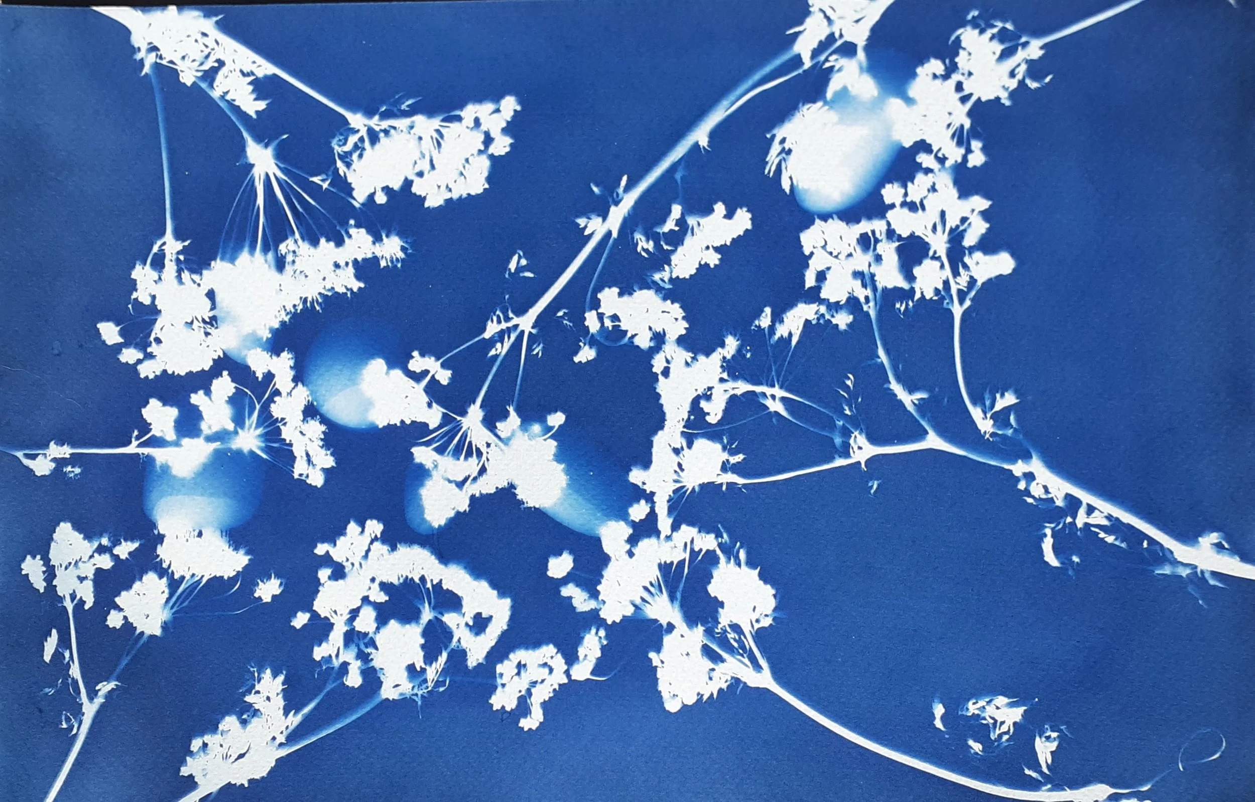 The Female Ether: Closing Reception