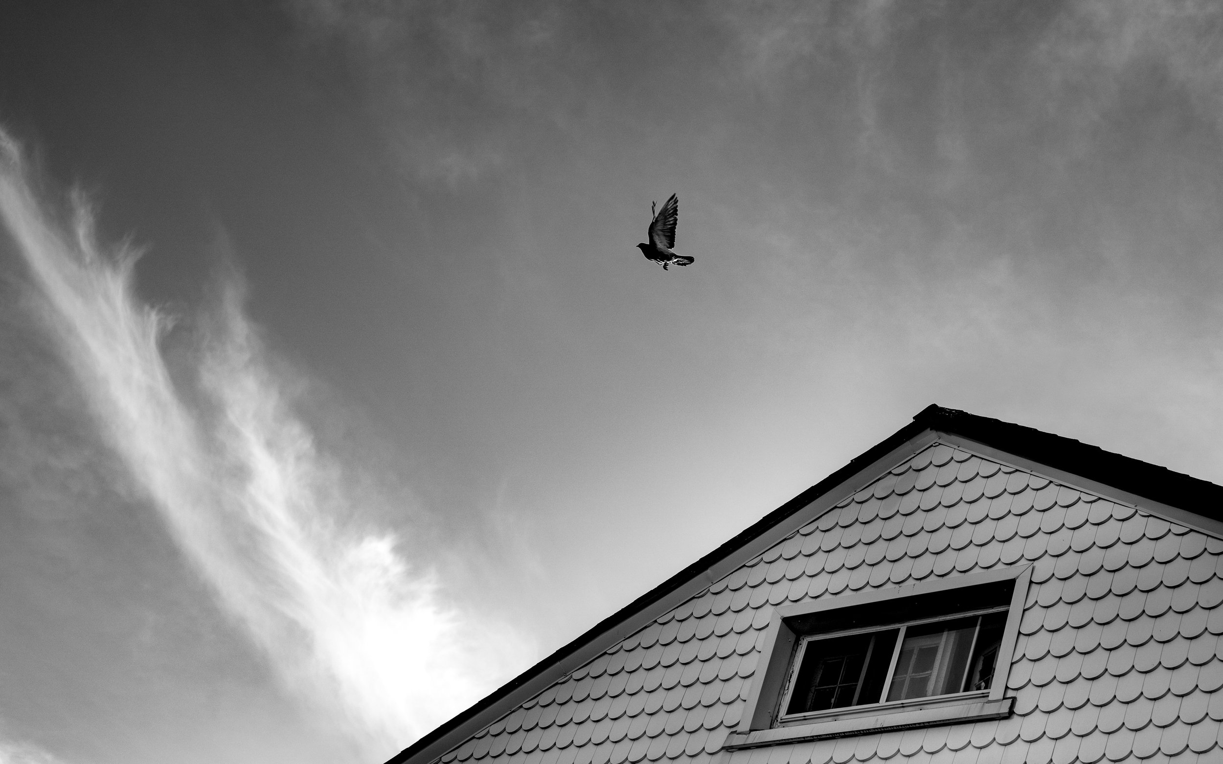 Black and white photo of a bird flying above a house with shingle siding and a window, set against a cloudy sky.