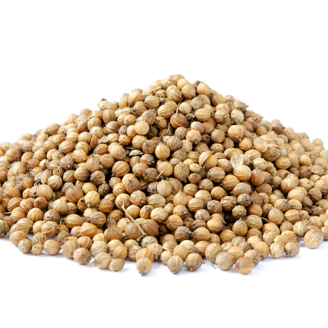 coriander