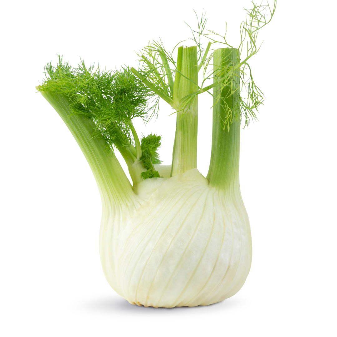 fennel