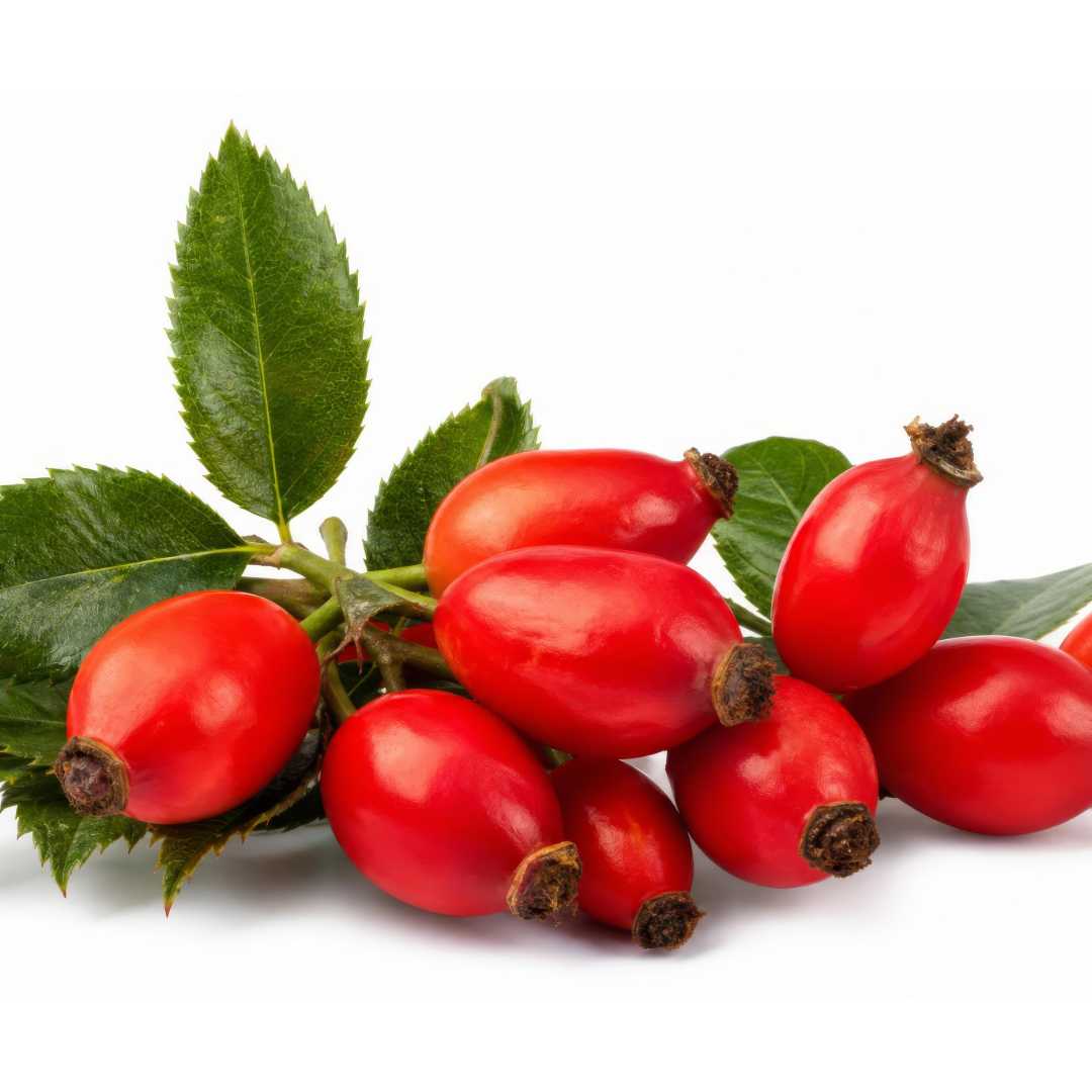 Rose Hips