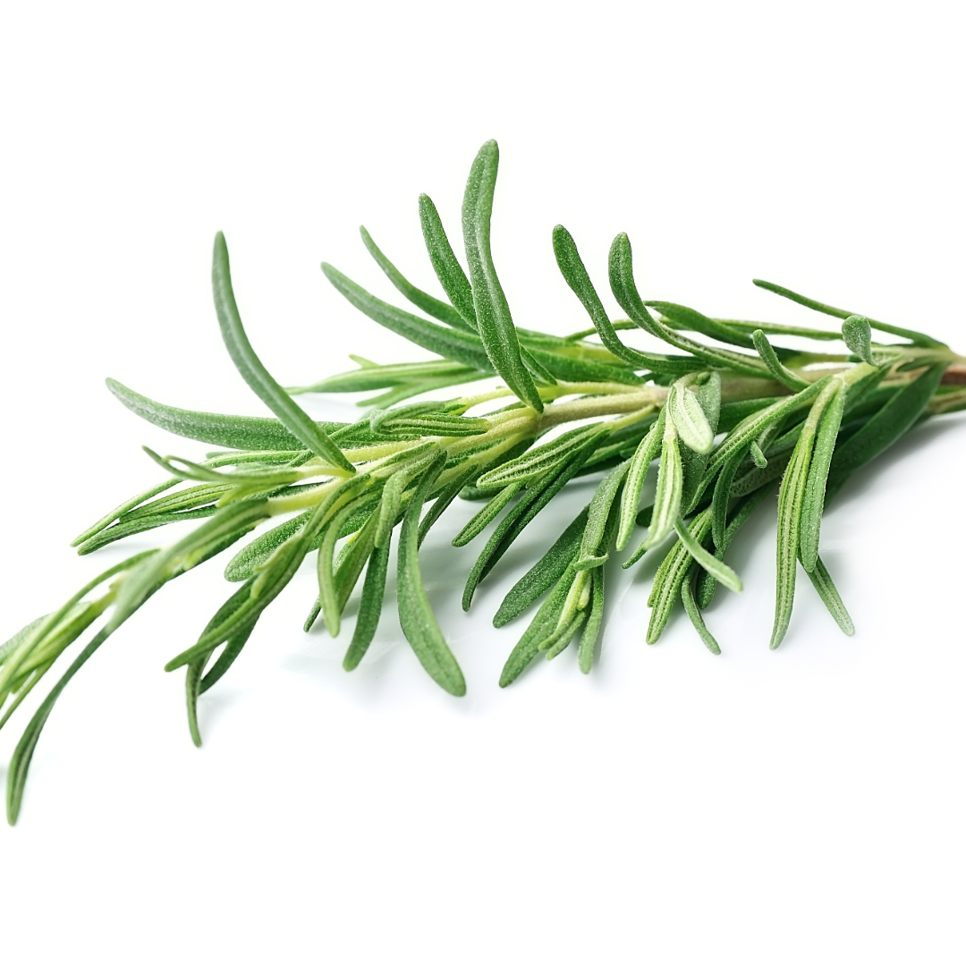 Rosemary