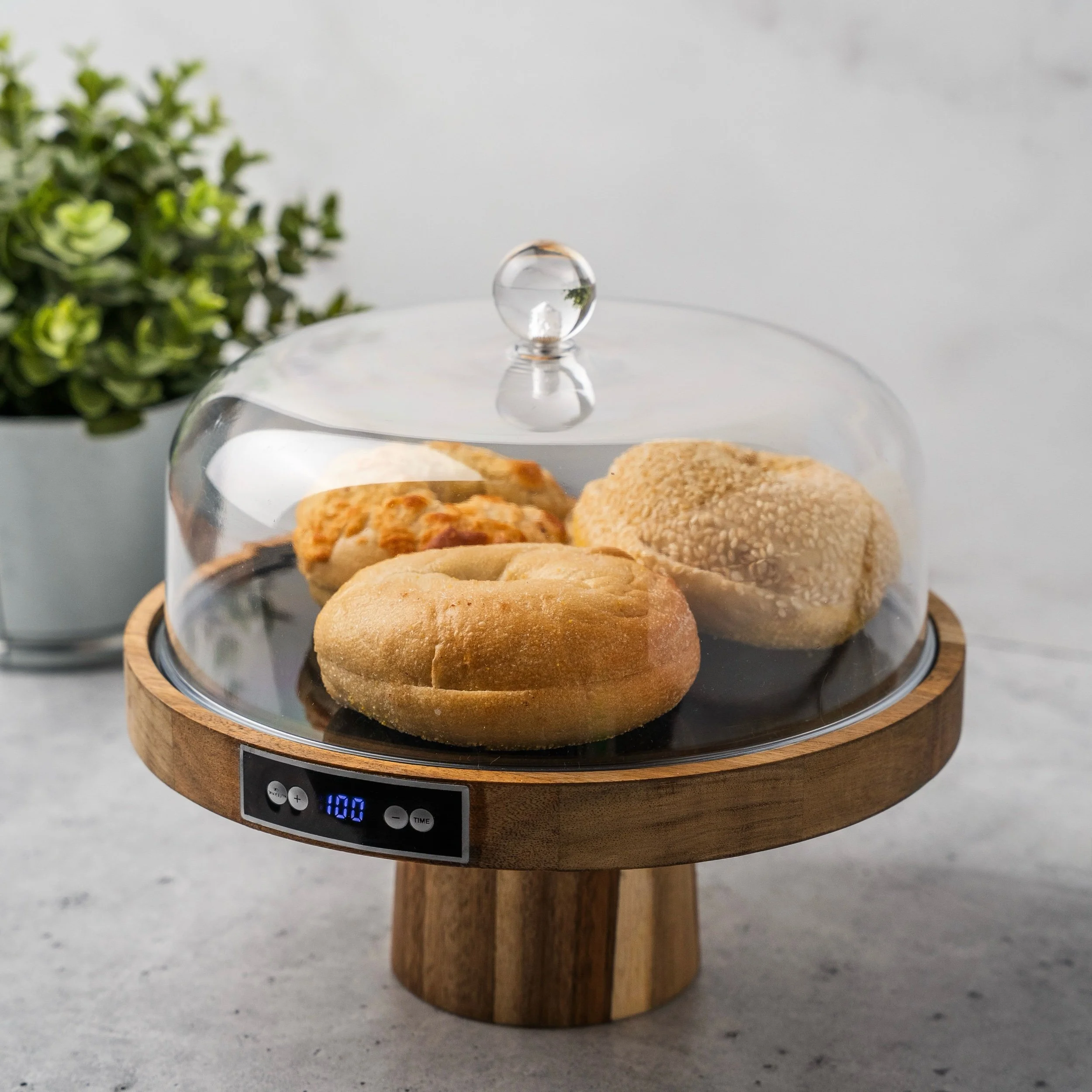 Dessert Warmer Display 9.75" x 9.75"