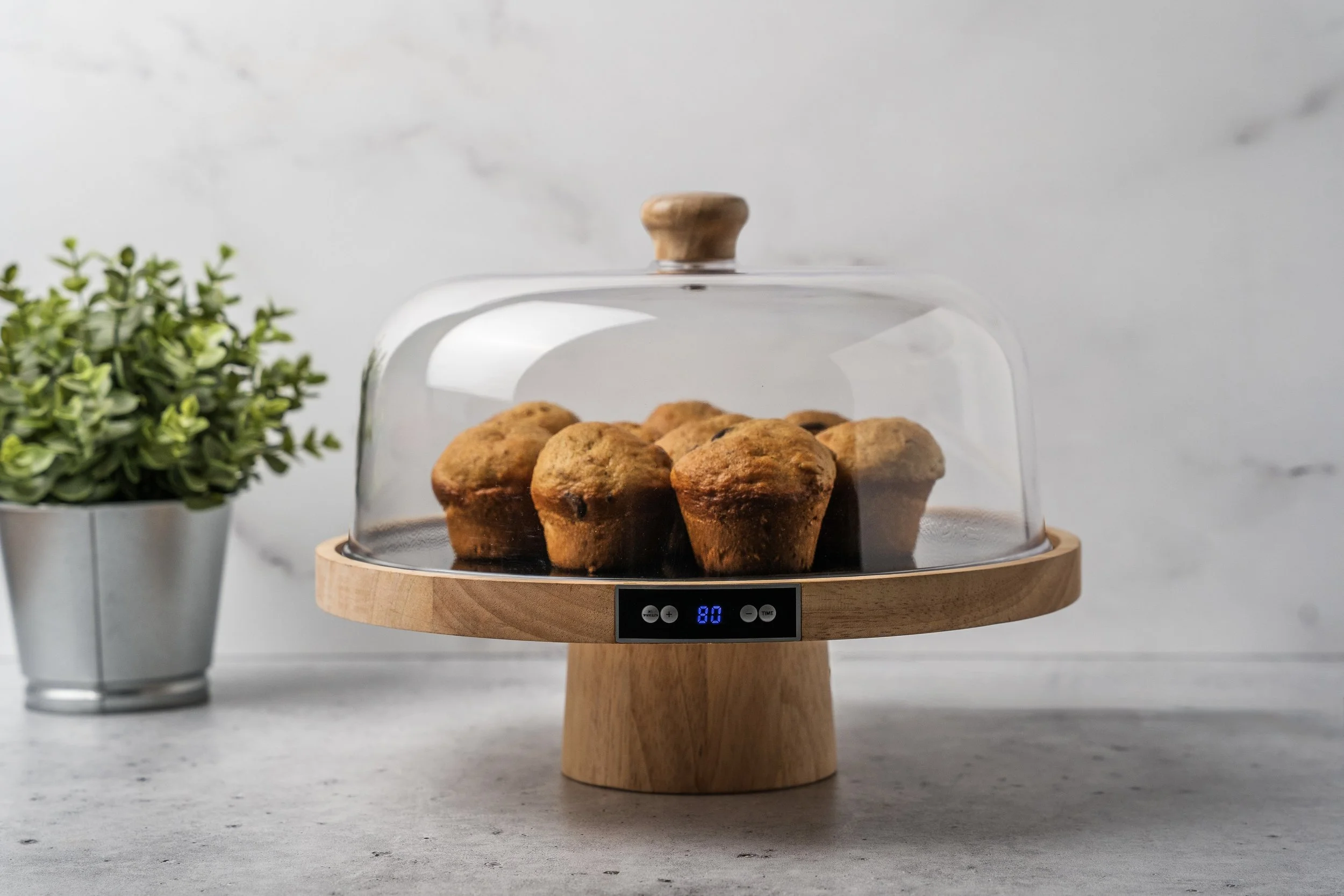 Dessert Warmer Display 12" x 12"