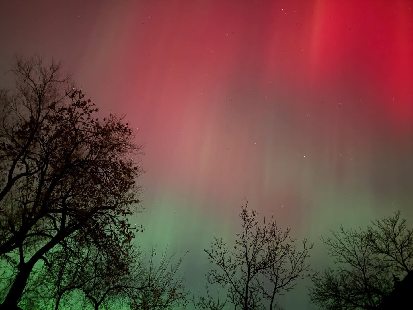 Northern lights shine above Montana. #northernlights #montana #bozeman #bigsky