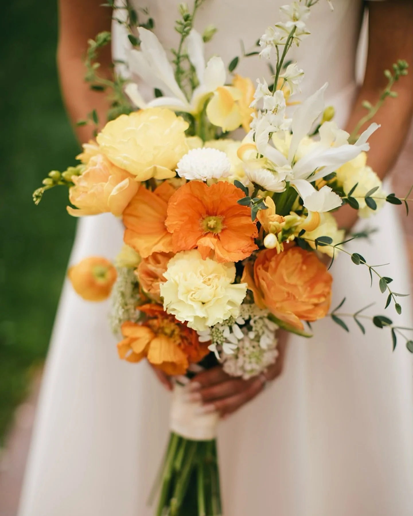Some happy Spring colors to look at instead of all this snow 💛🌸🌼