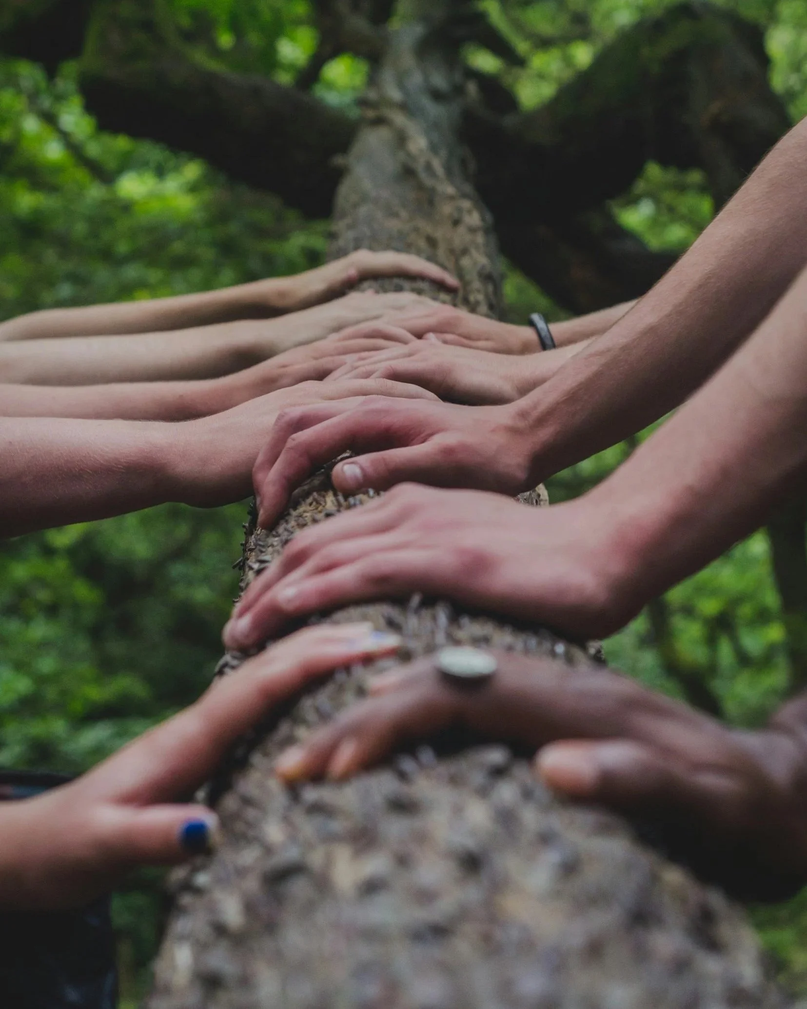 Multiple hands resting on a fallen tree trunk in a forest, with a canopy of green leaves in the background.