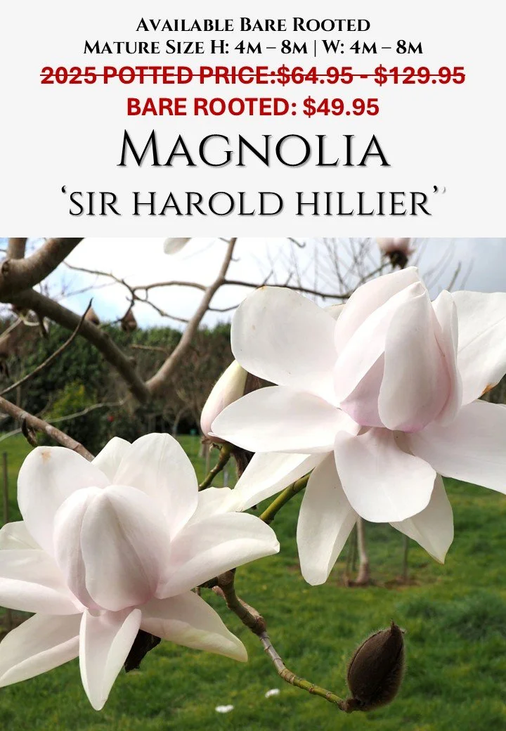 Sir Harold Hillier