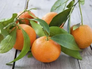 Mandarin Kawano (Satsuma)