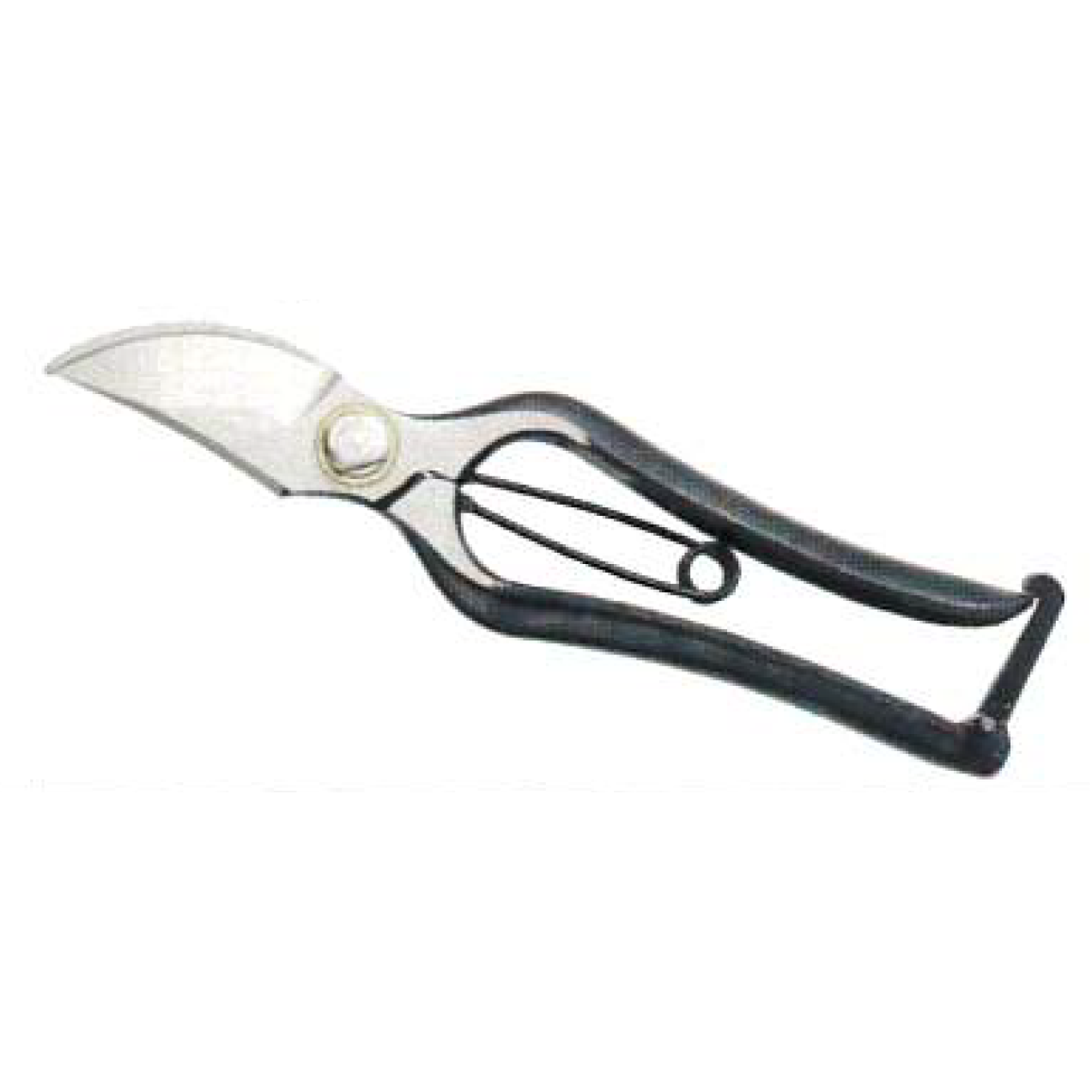 Professional Secateurs