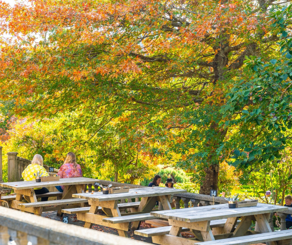 People sitting at picnic tables outdoors under colorful fall trees.