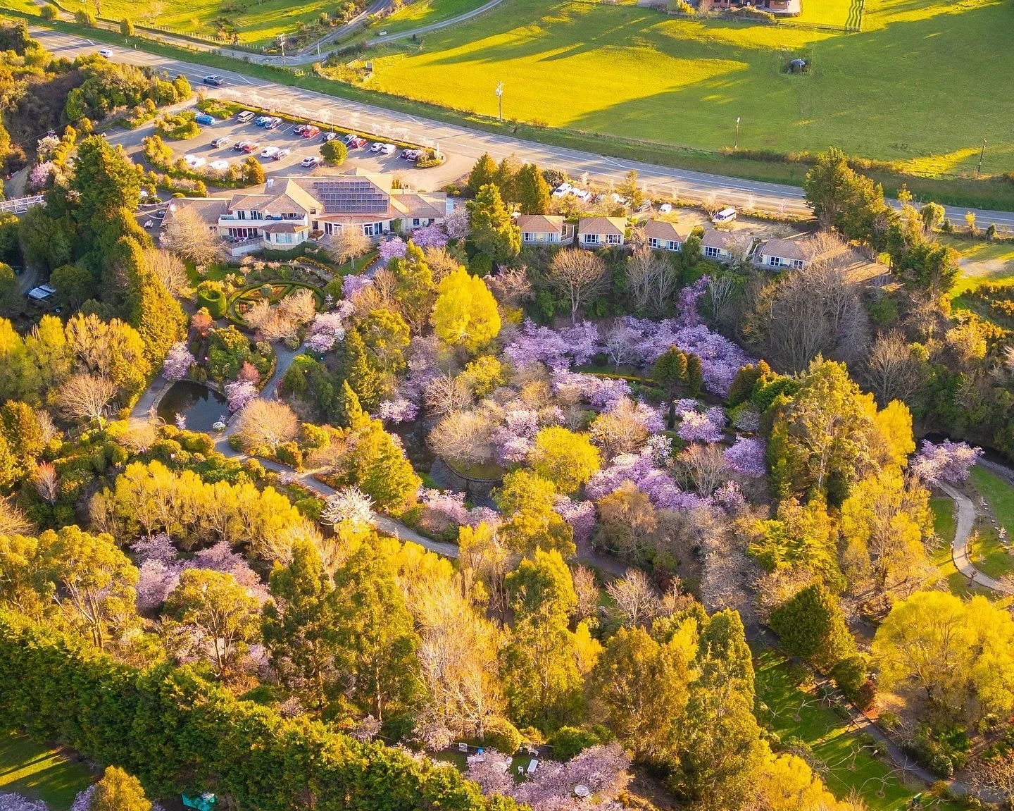 Aerial view of a landscaped residential area with a large house surrounded by colorful trees and gardens, parking lot, and main road in the background.
