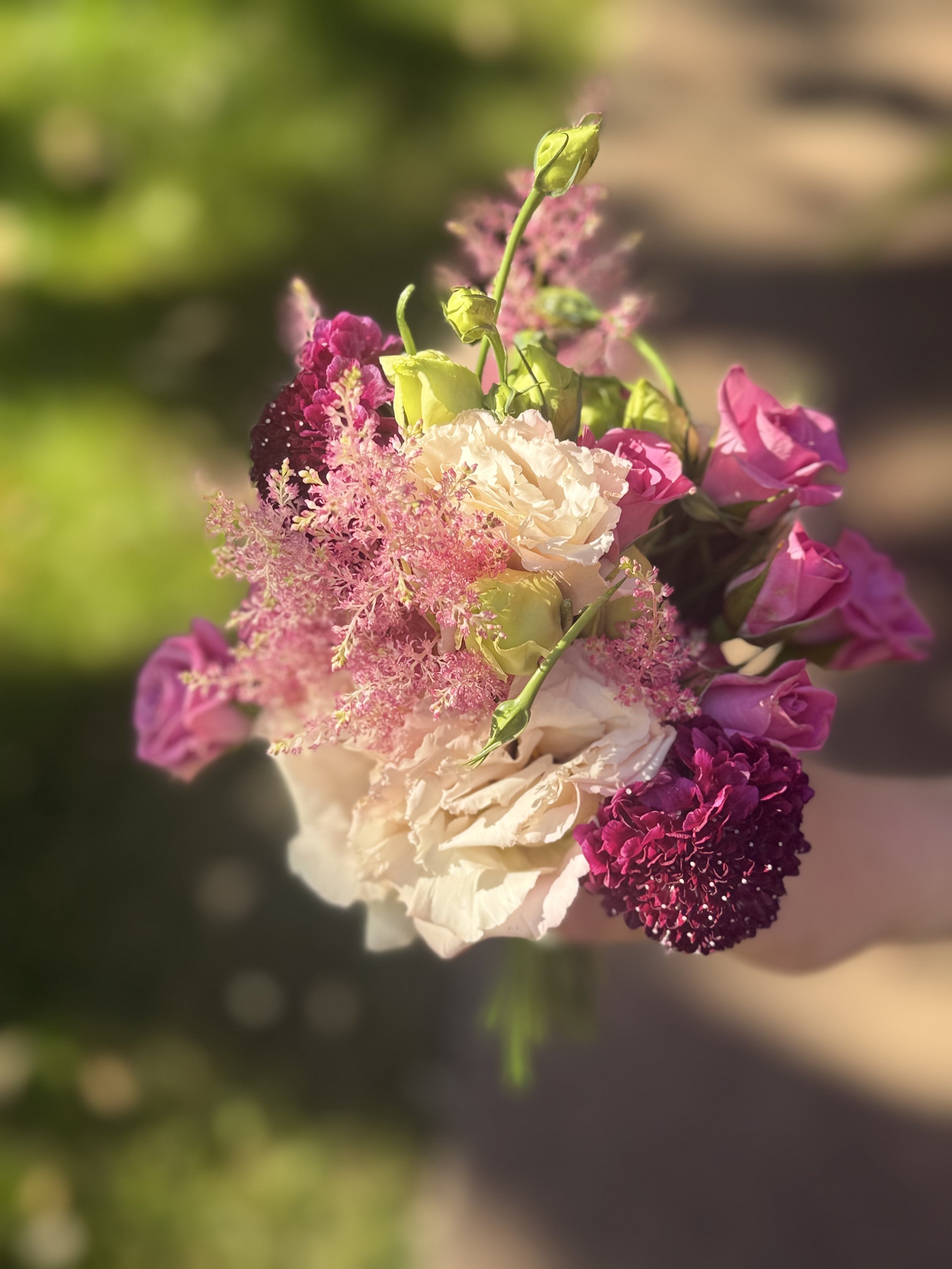 IMG_2603.jpeg