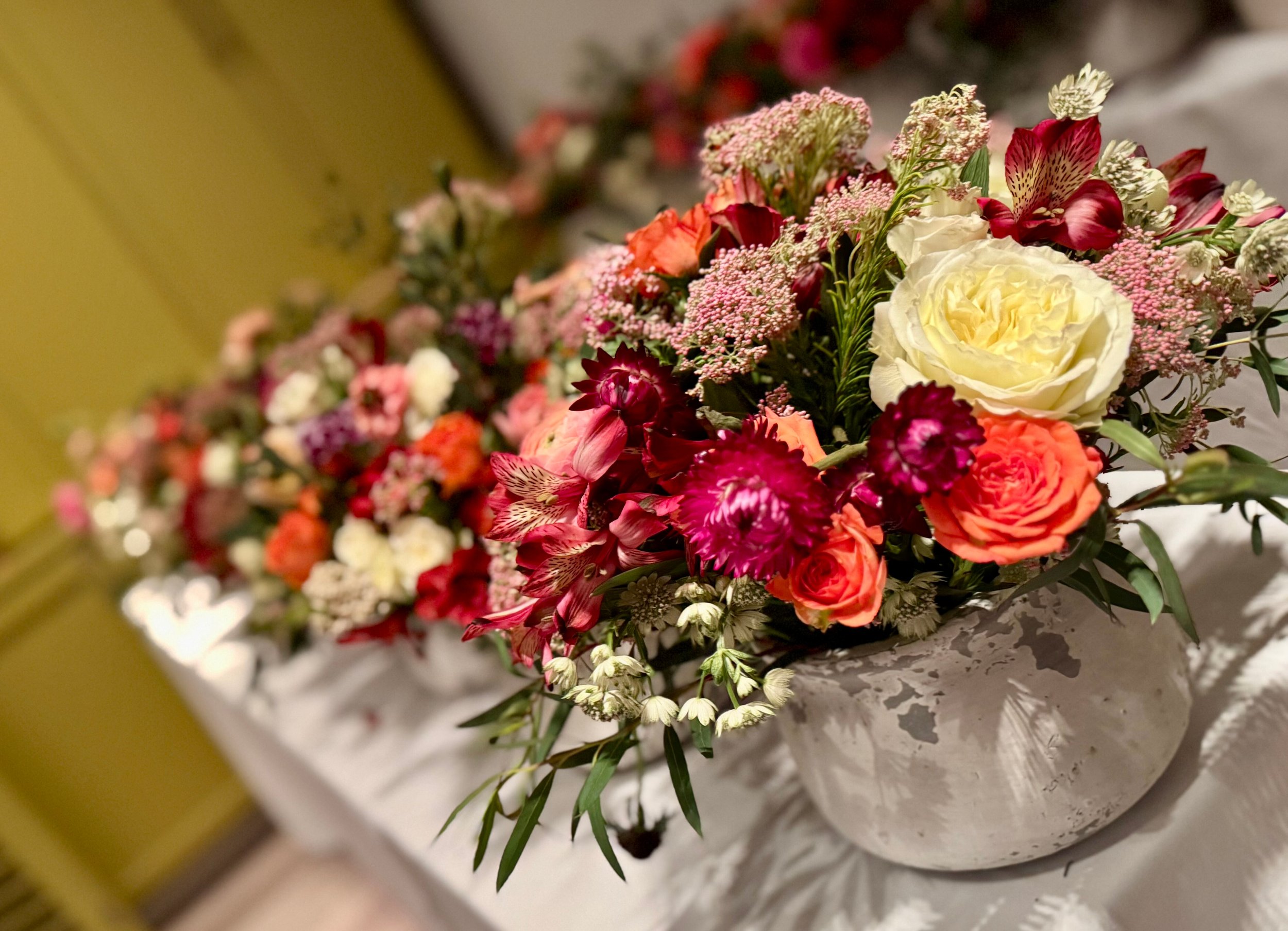 ec79b576-e38a-4b75-8f93-4880acaa43a0.jpg.jpg
