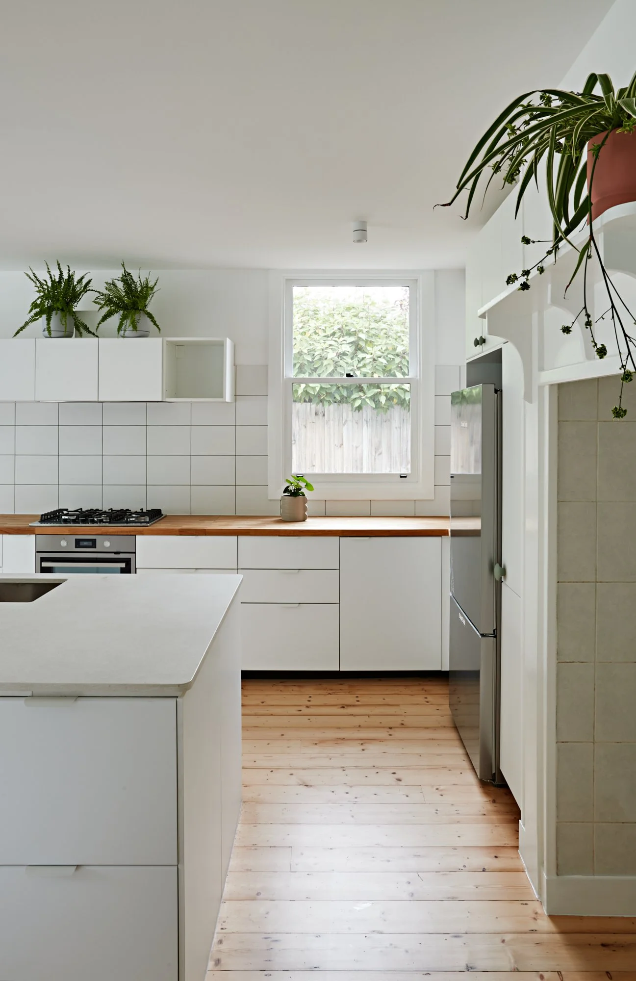 White kitchen at Northcote Green House with timber benchtop, island and indoor plants.