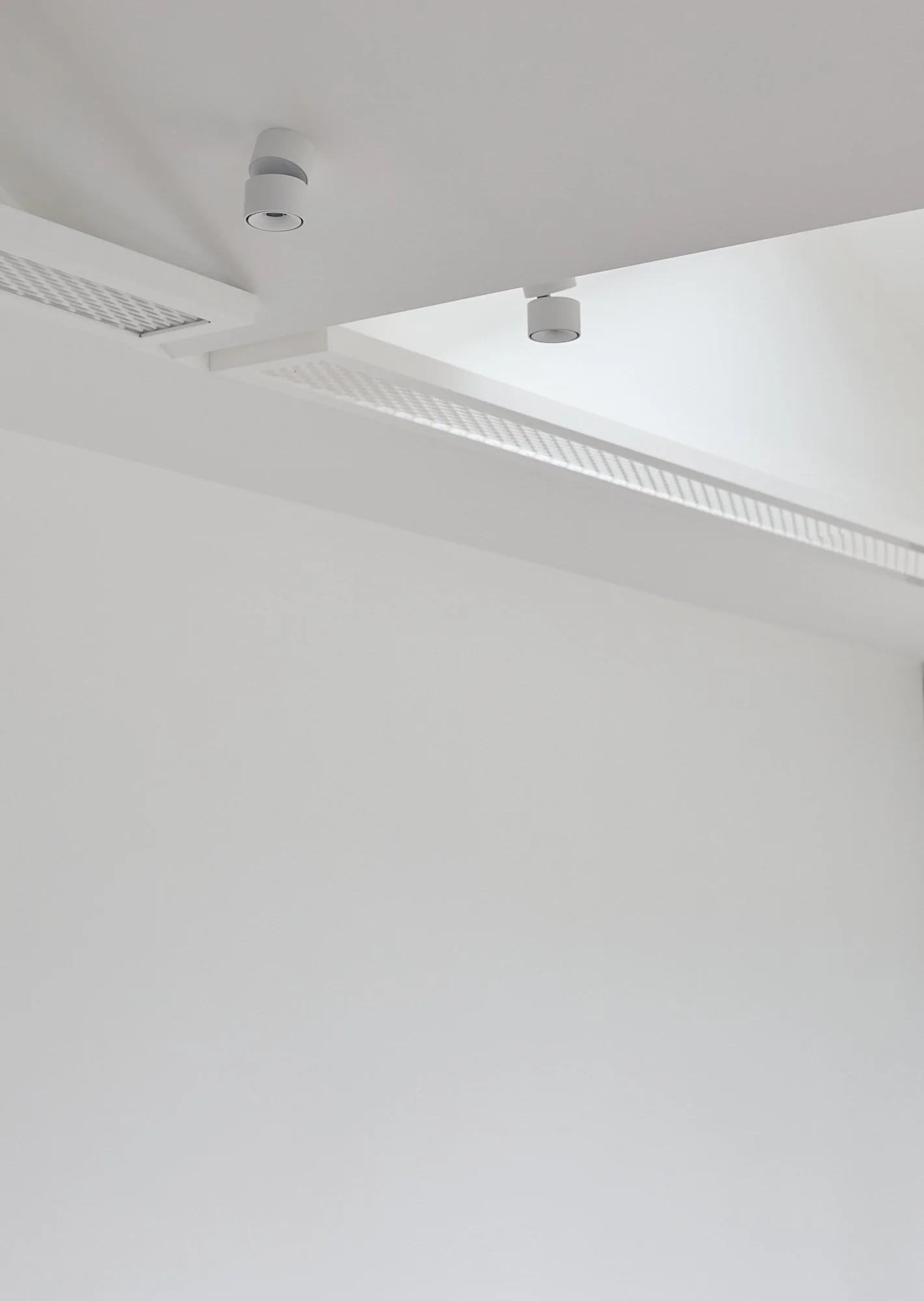 Ceiling detail at Northcote Green House showing integrated mesh shelving and white surface-mounted lighting.
