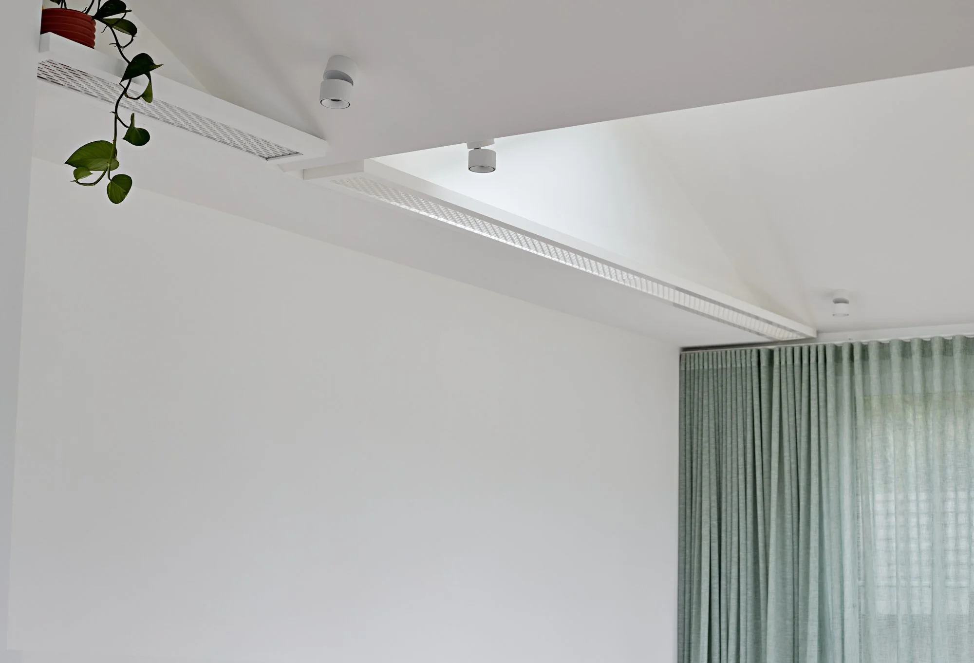 Integrated mesh ceiling shelving with trailing plant and white lighting at Northcote Green House.