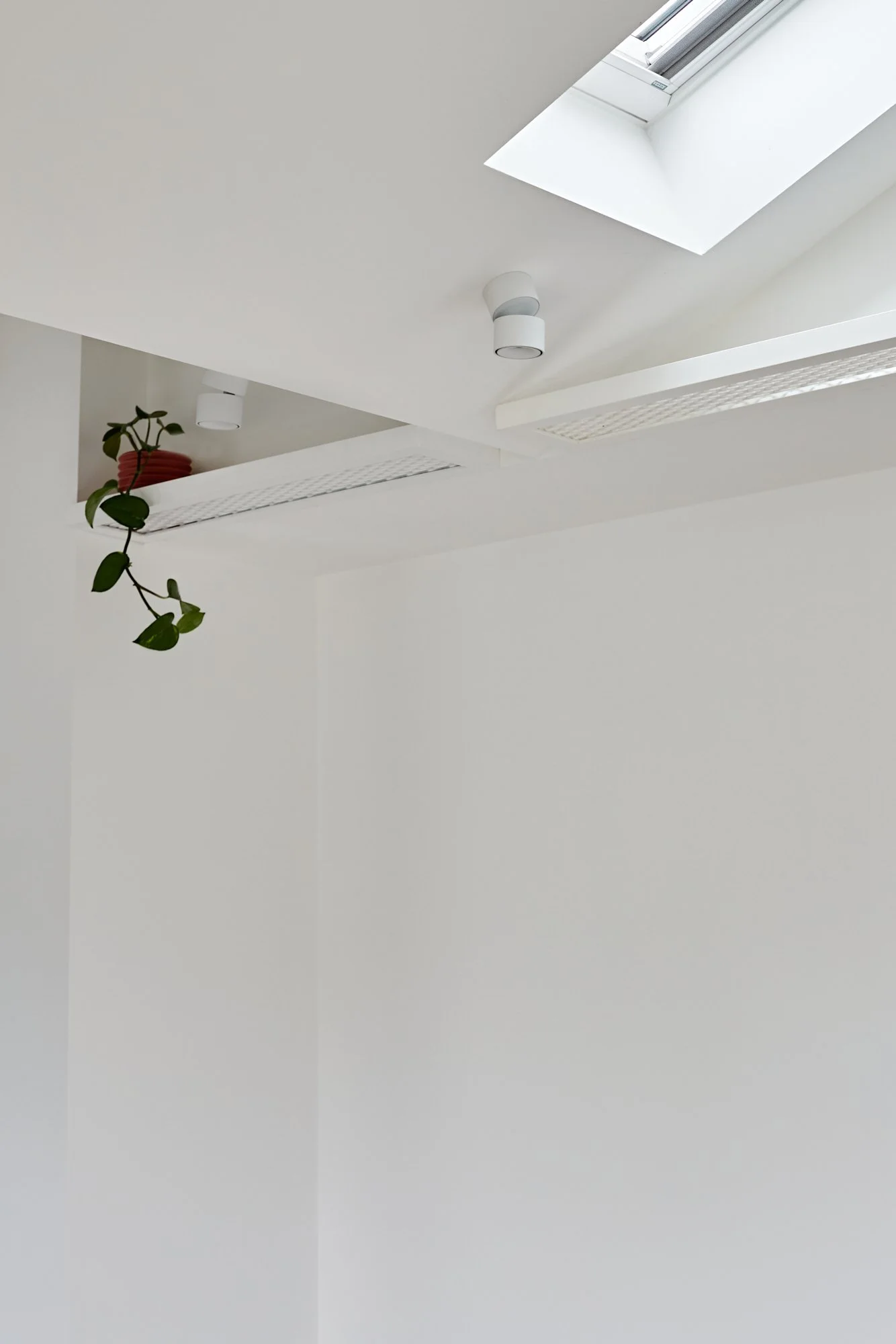 Skylight and integrated mesh plant shelf detail at Northcote Green House.