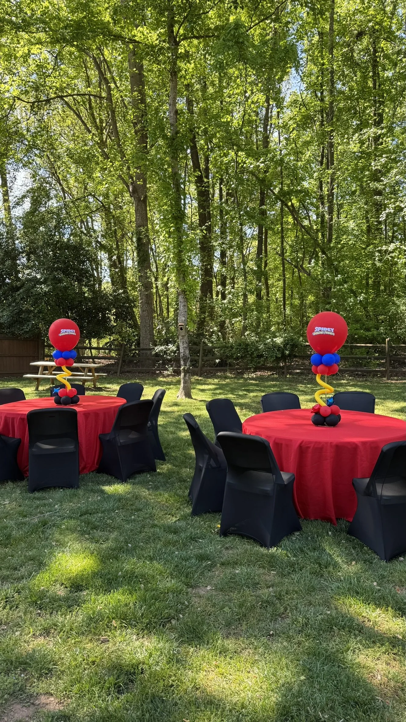 Outdoor party setup with round tables covered in red tablecloths, decorated with red, blue, and black balloon centerpieces, surrounded by black chairs, on a grassy area with trees and sunlight.