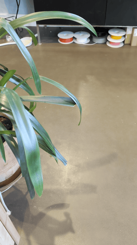 A potted plant with long green leaves and a stack of spools of thread in various colors on a shelf in the background, on a light tan floor.