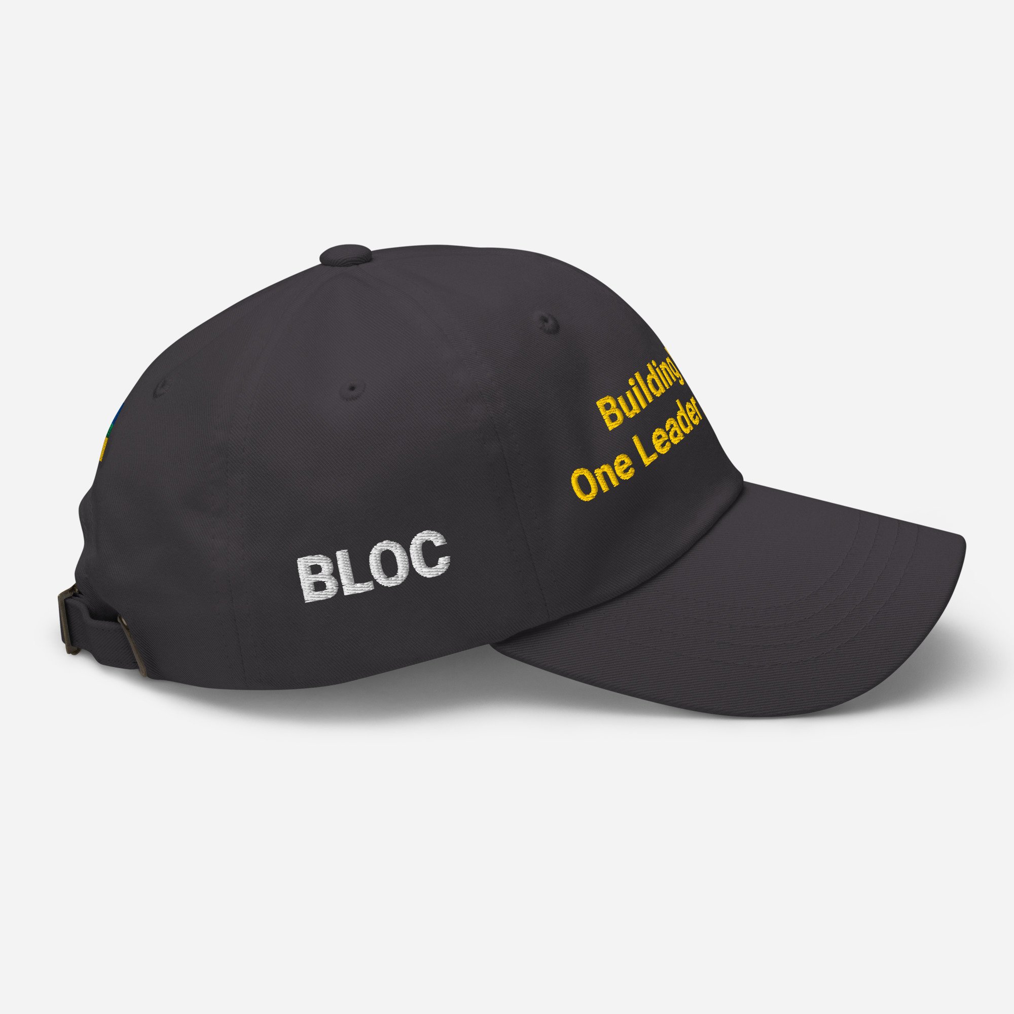 classic-dad-hat-dark-grey-right-side-67e9fa6fbd9d4.jpg