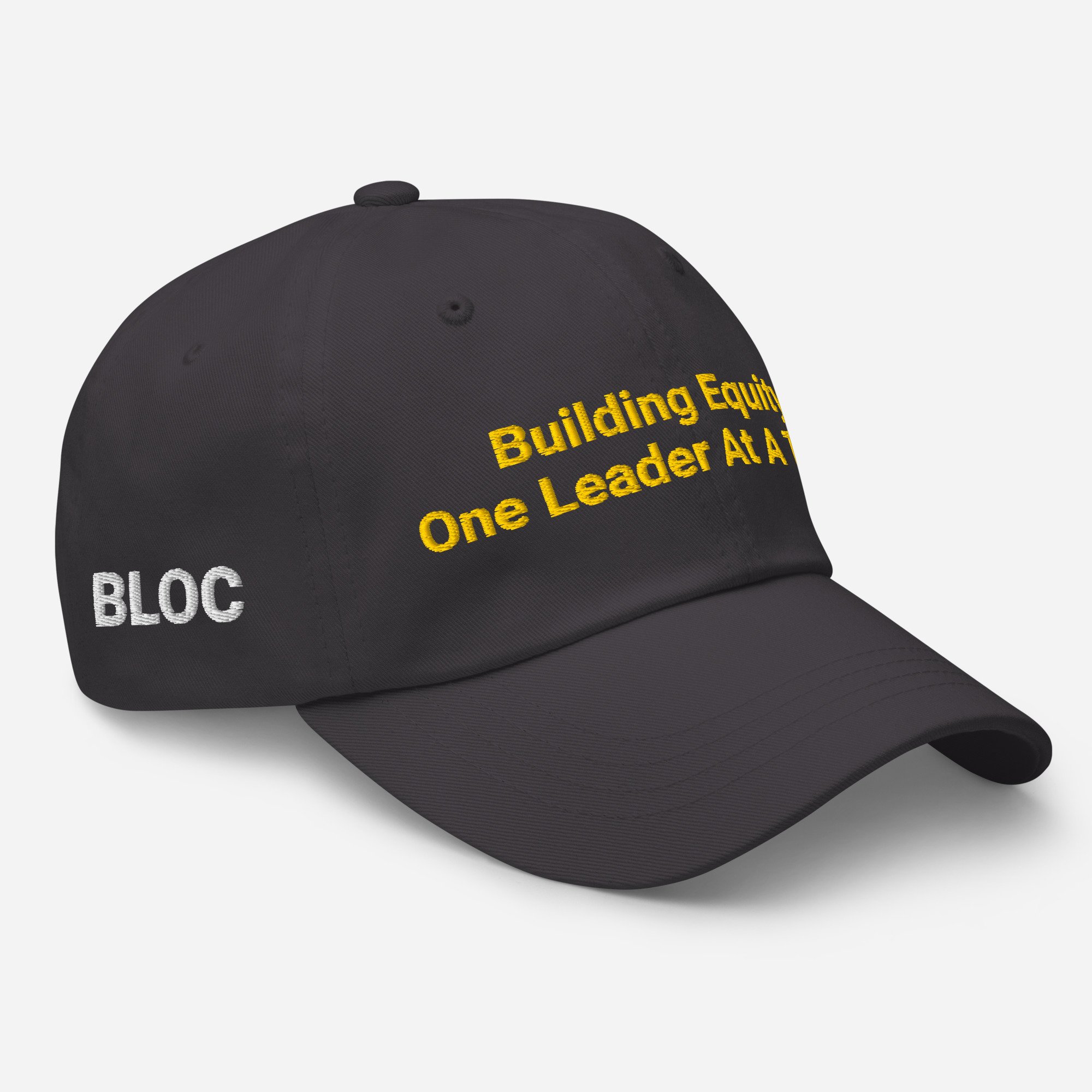 classic-dad-hat-dark-grey-right-front-67e9fa6fbdc7d.jpg