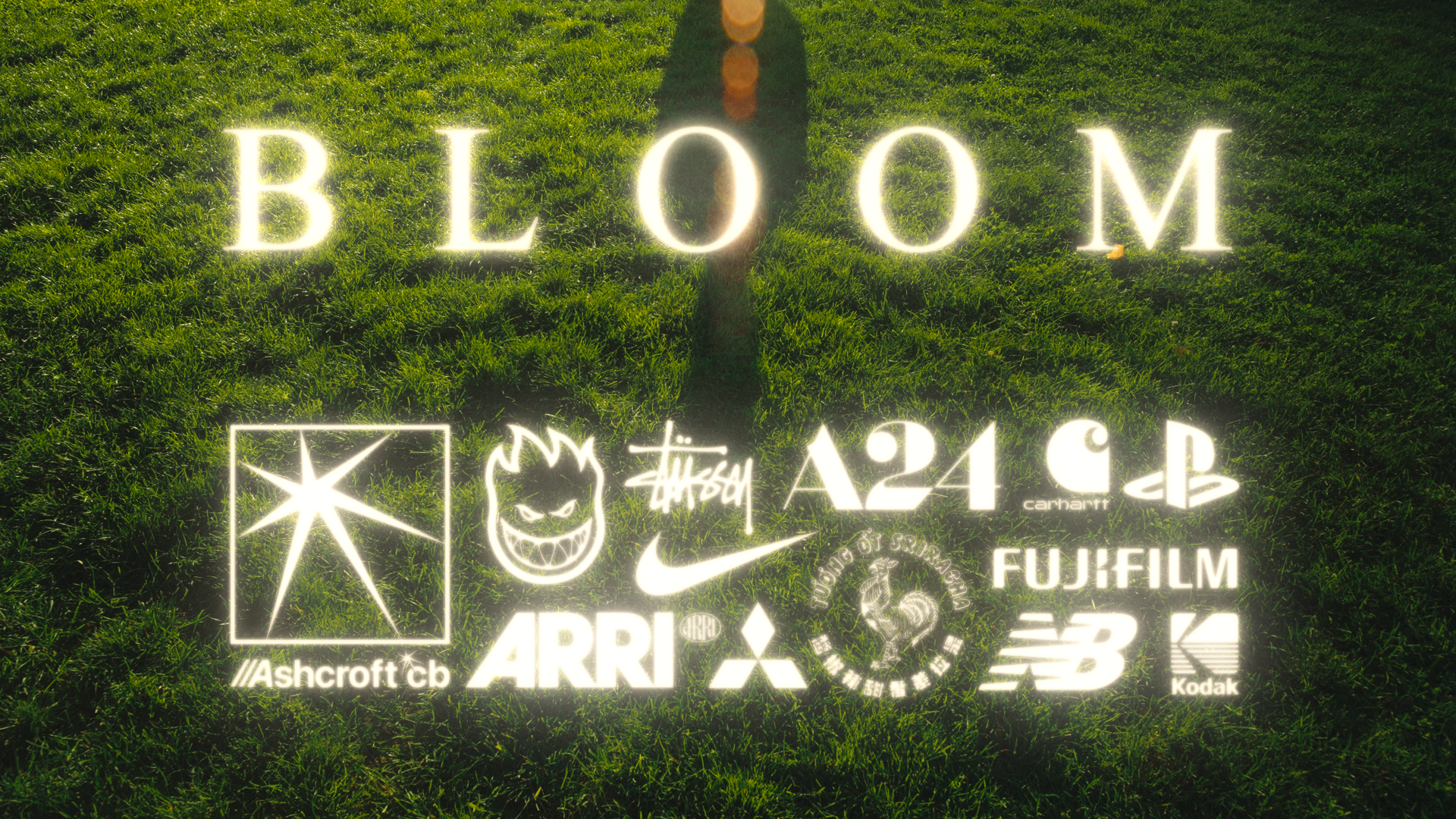 Bloom_After.png