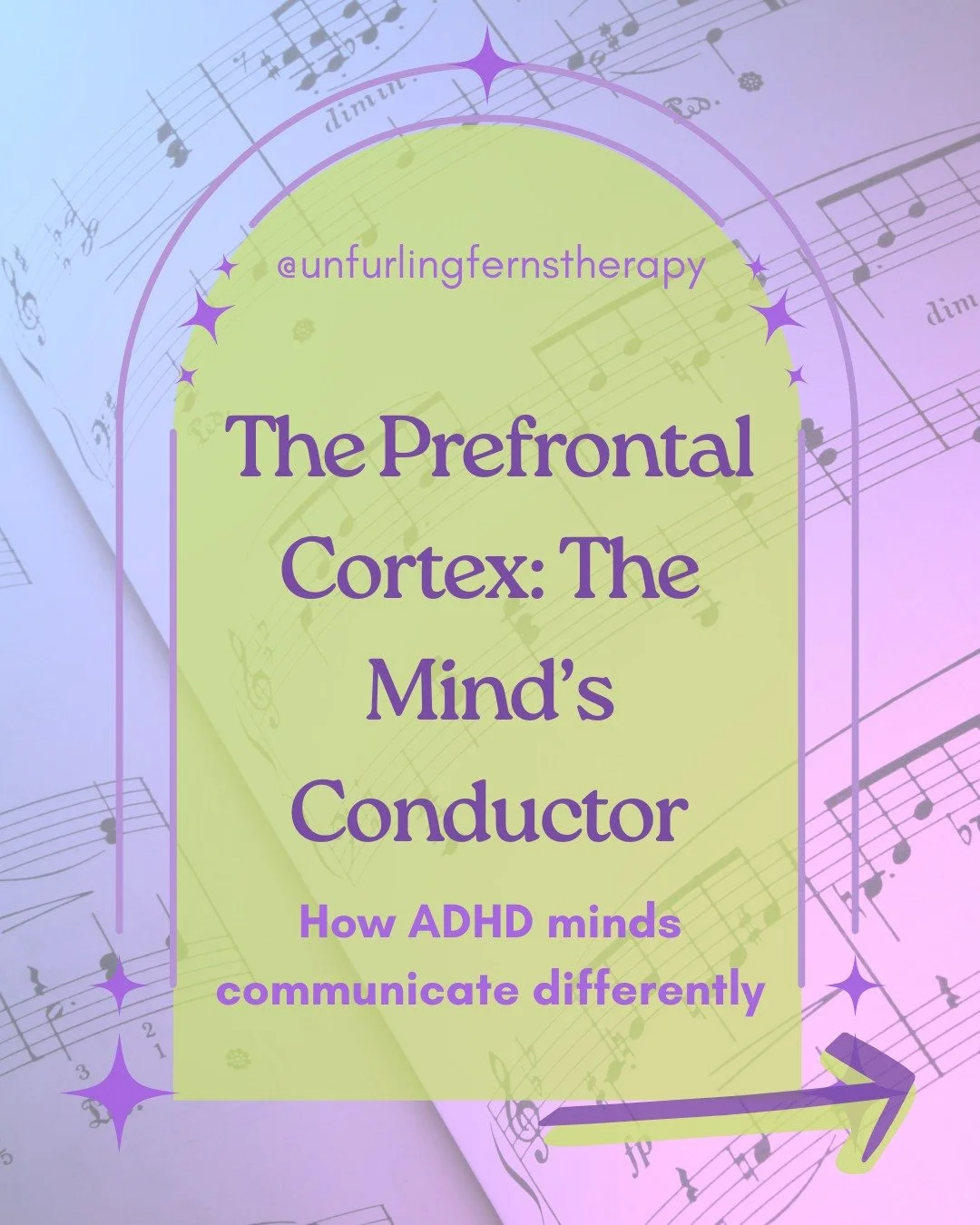 Your daily dose of neuroscience 🧠🌿

The prefrontal cortex (PFC) is like the conductor of the mind, a central hub that communicates with the rest of the mind.

It helps networks talk to each other:

🌌 Default Mode Network (daydreaming, thoughts abo
