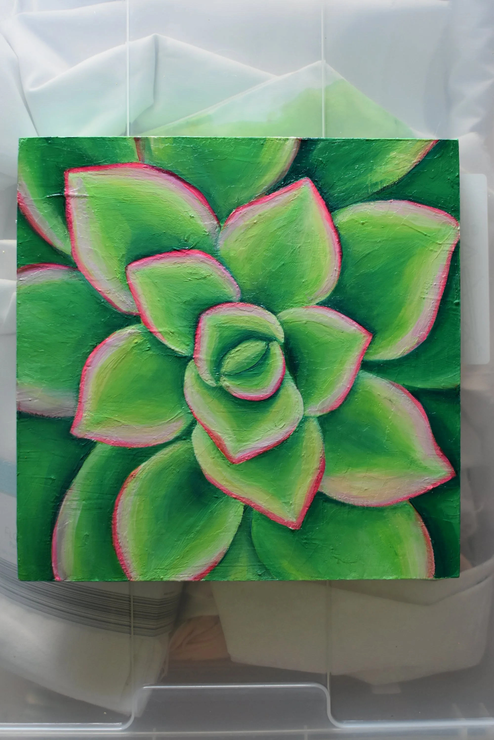 Green Succulent 10x10 on wood